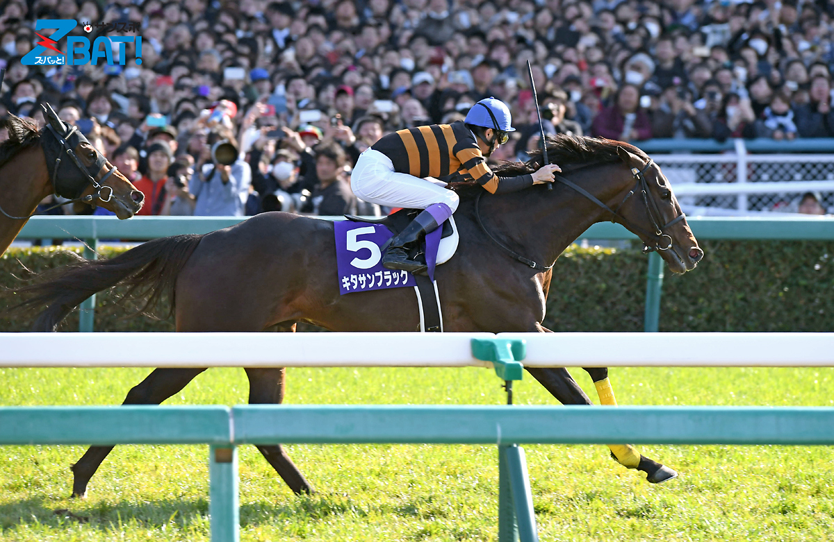 キタサンブラック セレクトセール2024 注目馬紹介】⑥キタサンブラック産駒