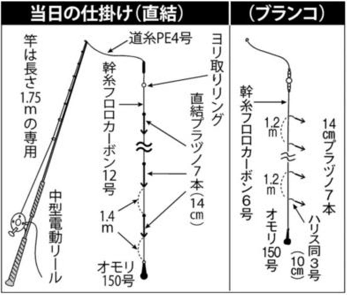 ヤリ交じりスルメ 竿頭３１尾 外房 勝浦沖で春を楽しもう サンスポ