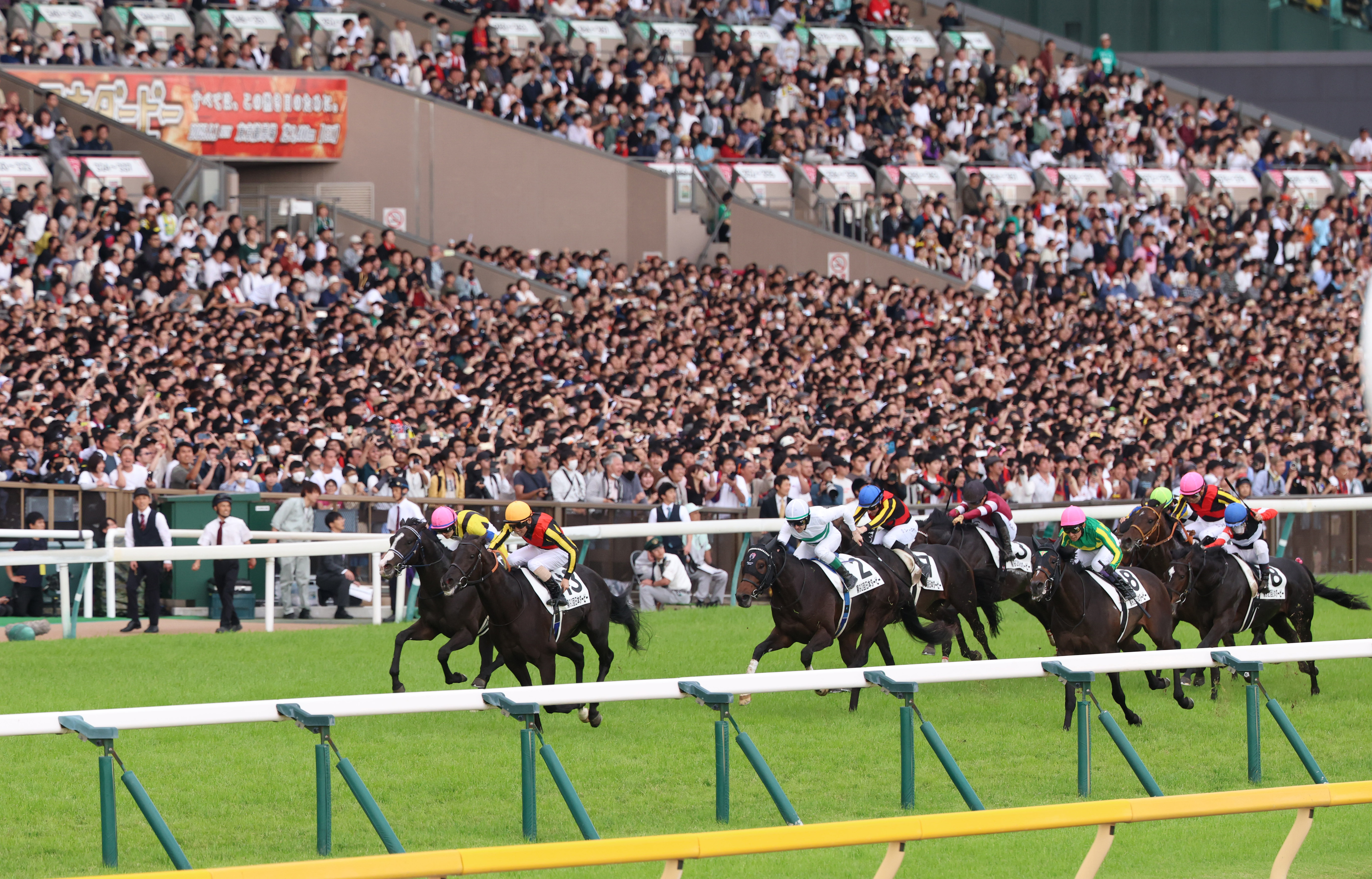 日本ダービー、クロワデュノールが制覇 北村友一騎手が騎乗、1番人気