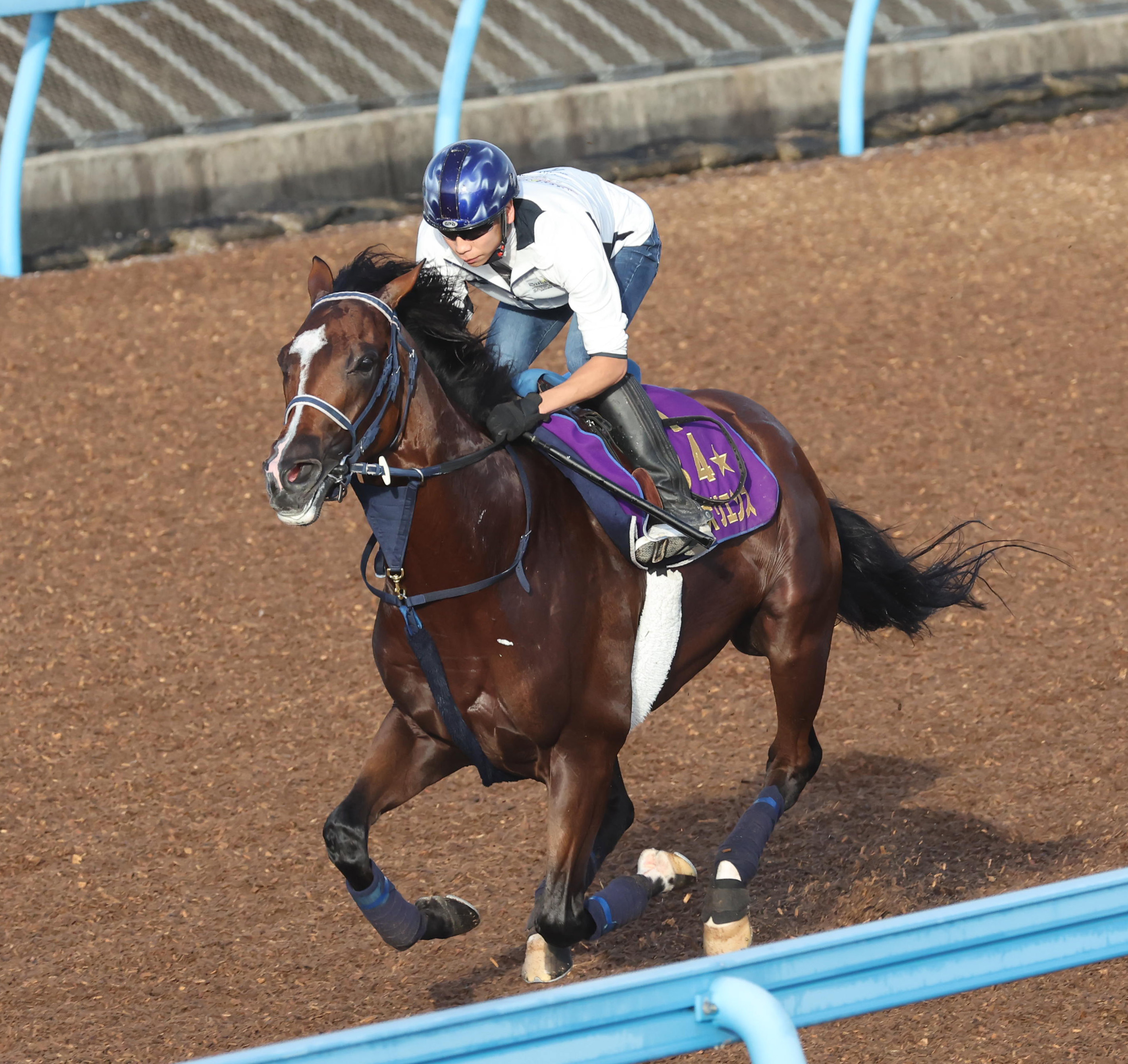 【セントライト記念】ソールオリエンス余力十分な脚取りでラスト ...