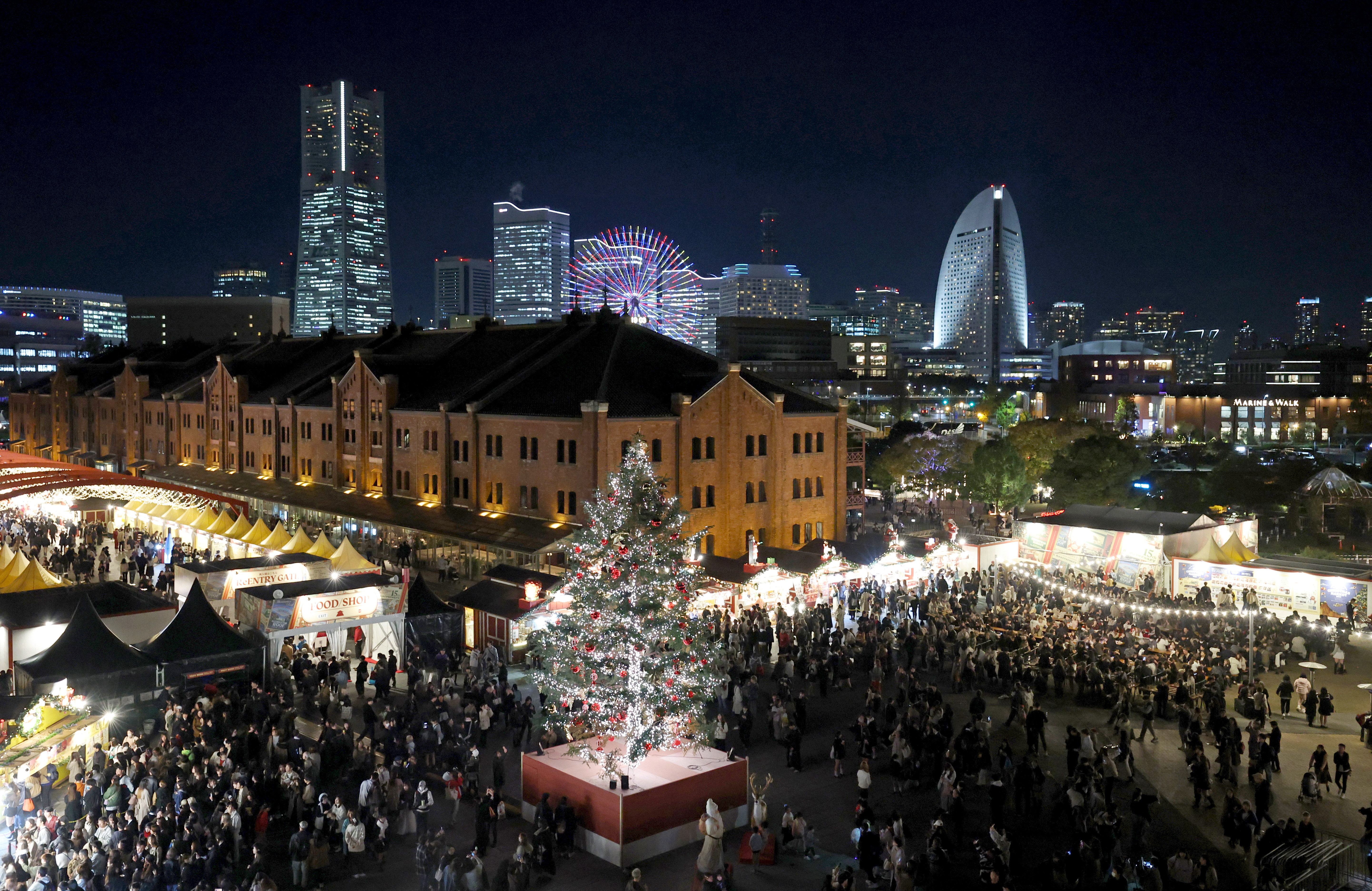 横浜赤レンガ倉庫で「巨大クリスマスツリー」点灯 LED2万球の
