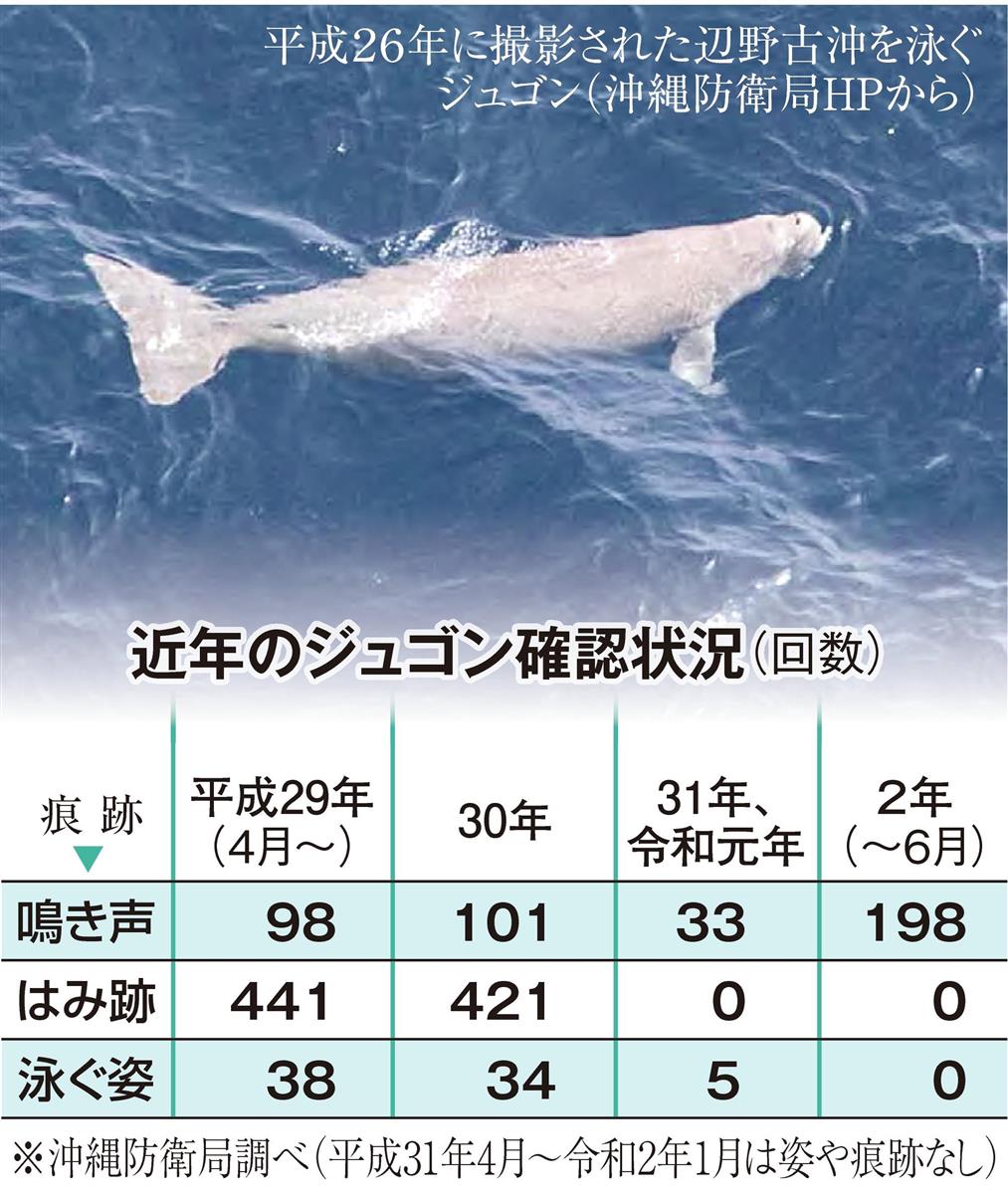 辺野古のミステリー ジュゴン鳴き声のみ…姿見えず - 産経ニュース