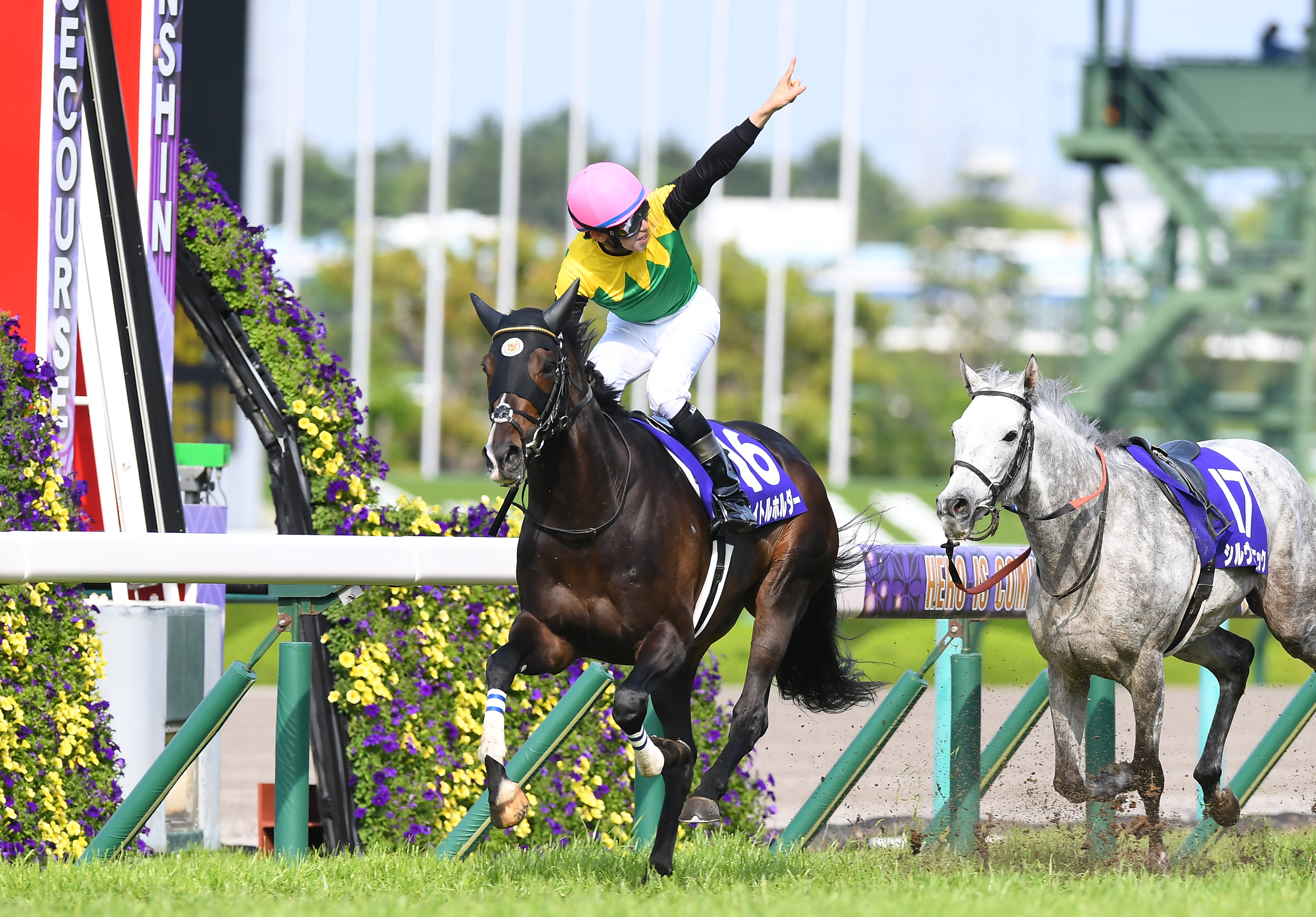 競馬 タイトルホルダー セット | martinssanches.com.br