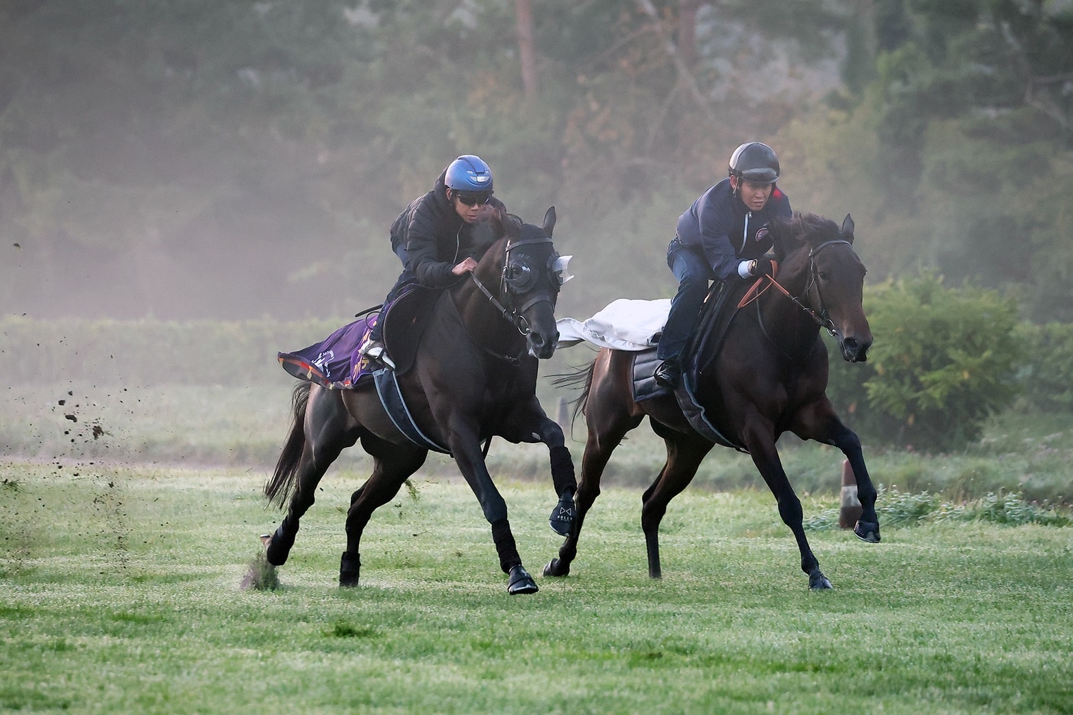凱旋門賞 最終追い切り】クロワデュノール世界の頂へ！上昇一途 北村友一騎手「前走より格段に良くなっている」 - サンスポZBAT!