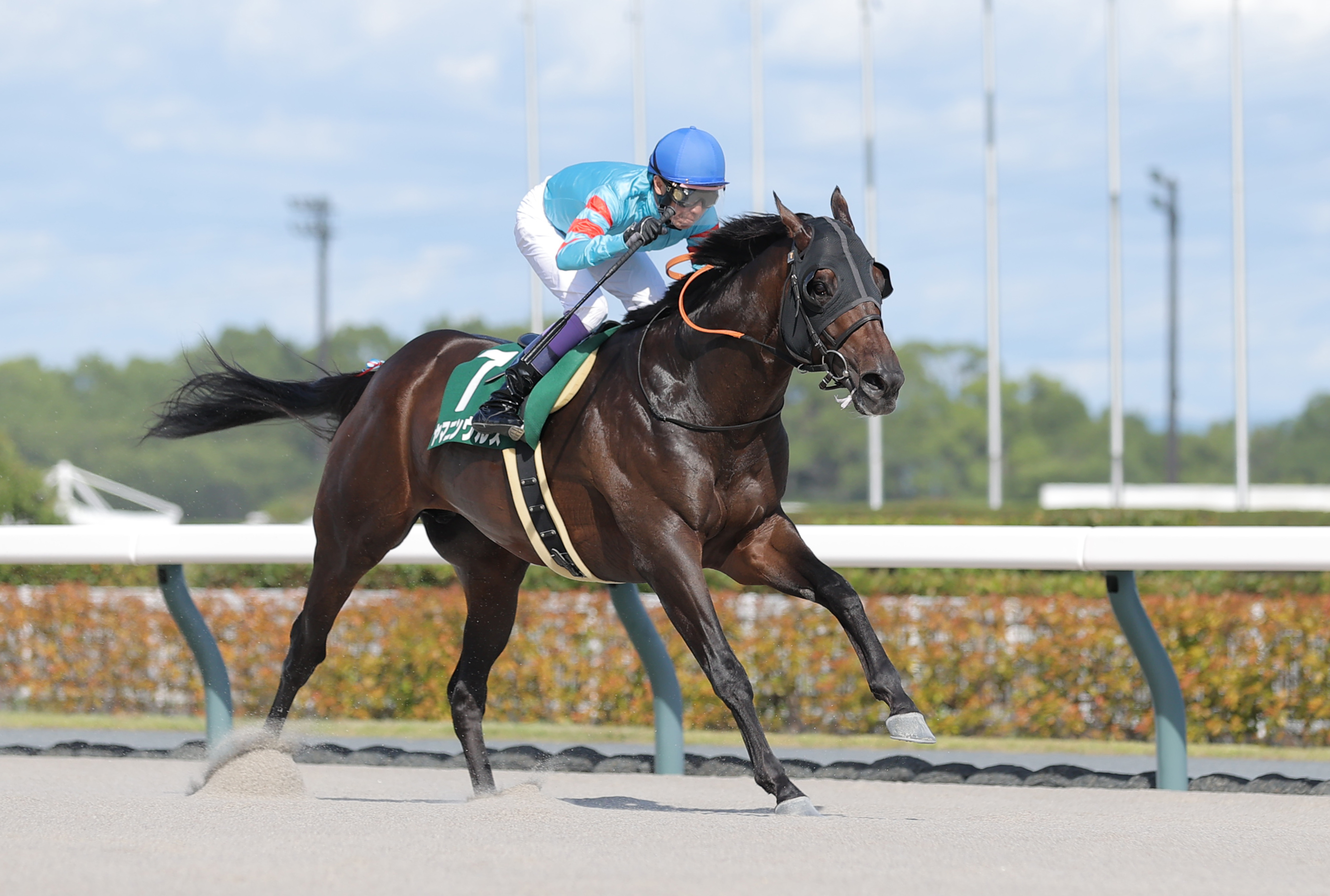 衝撃の新馬V＆重賞2勝のヤマニンウルスが引退 レックススタッドで種