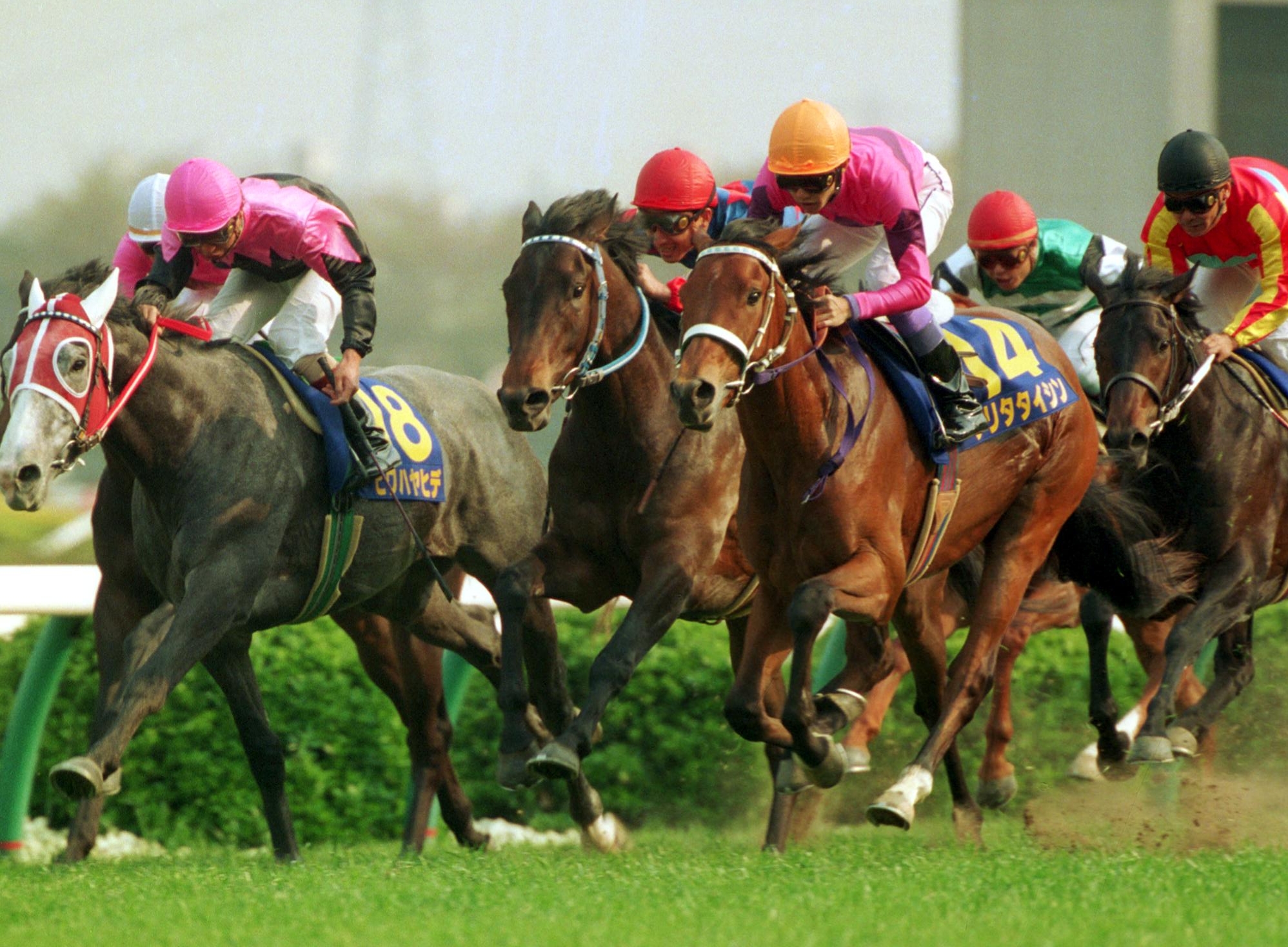○ビワハヤヒデ 1993年度年度代表馬テレカ - プリペイドカード