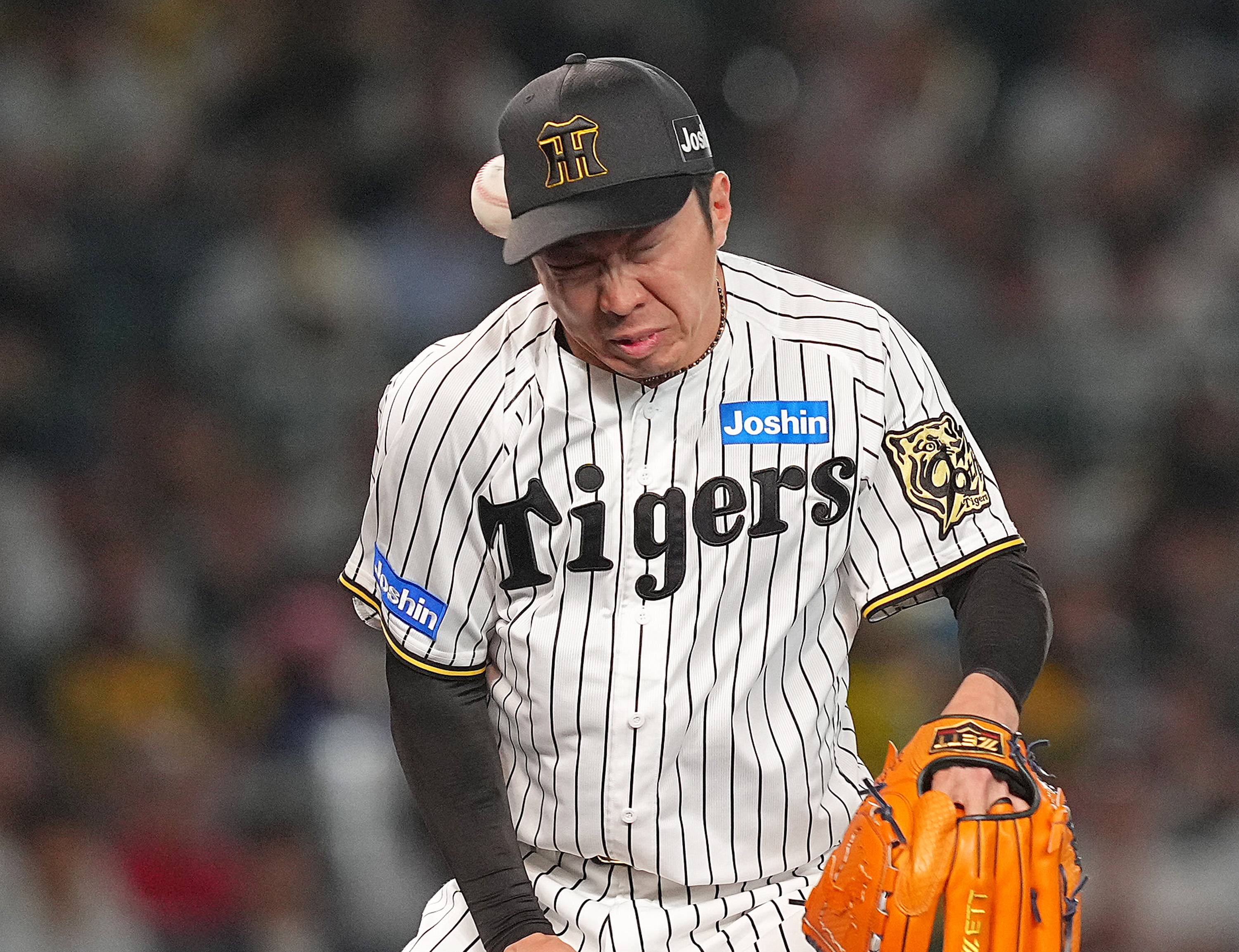 阪神・石井大智、頭部に打球直撃で緊急搬送 藤川監督「意識もはっきり