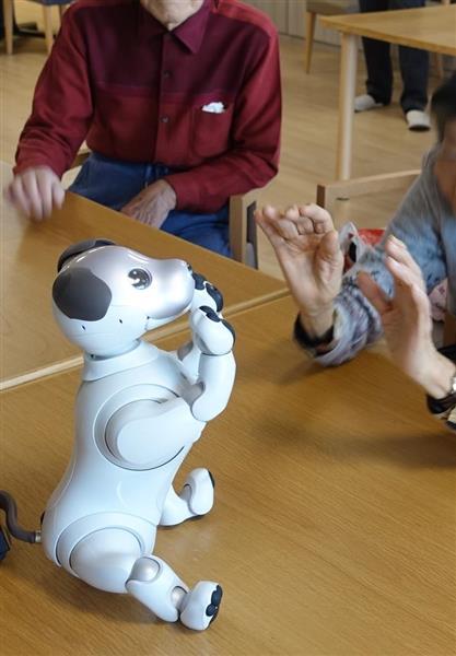 ソニー系高齢者施設で「アイボ」のロボットセラピー始まる（1/2ページ） - 産経ニュース