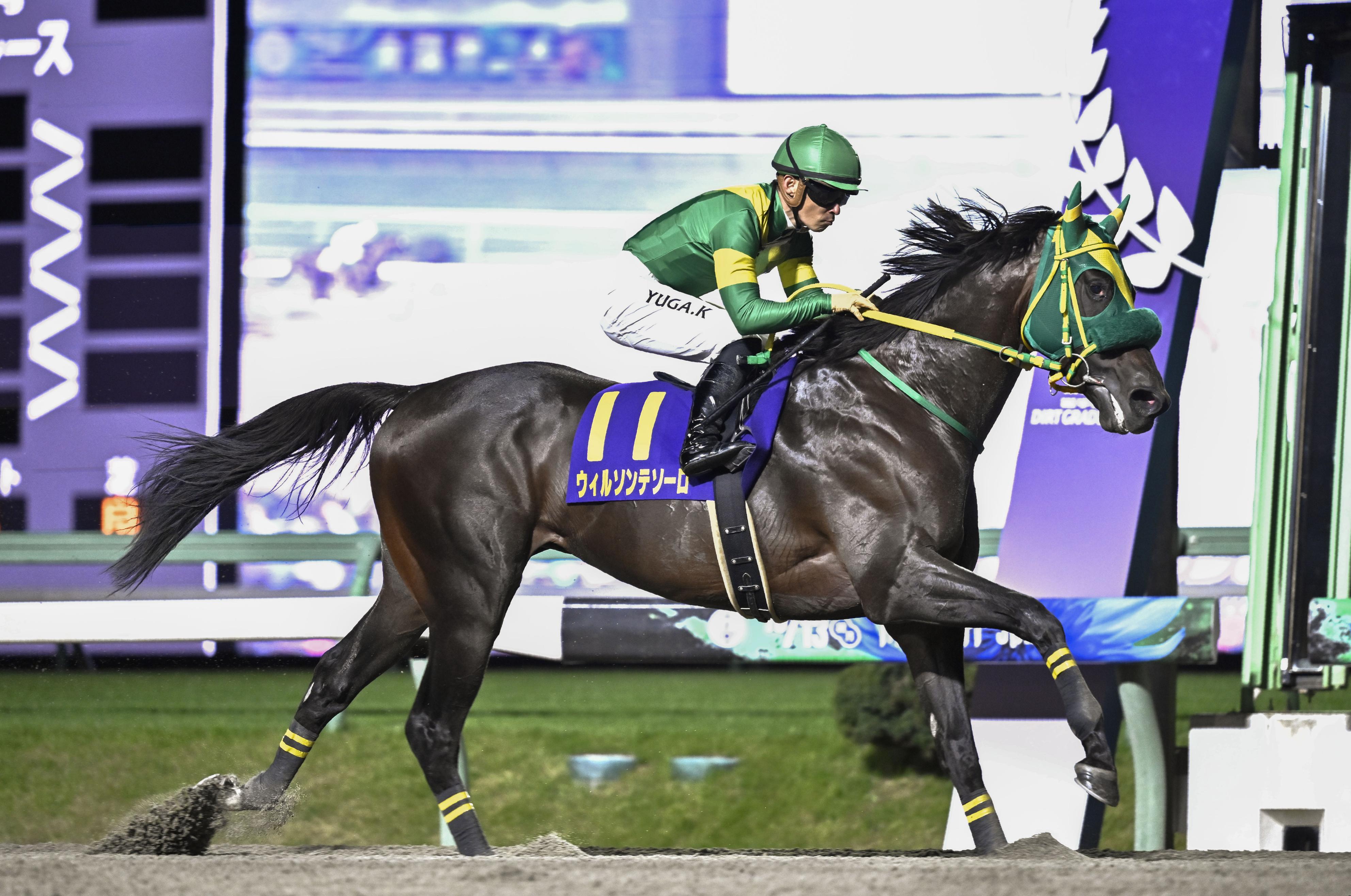 2025/11/3 JBCクラシック（Ｊｐｎ１） ウィルソンテソーロ 記念馬券 2025/11/3 JBCクラシック（Jpn1） ウィルソンテソーロ 記念馬券