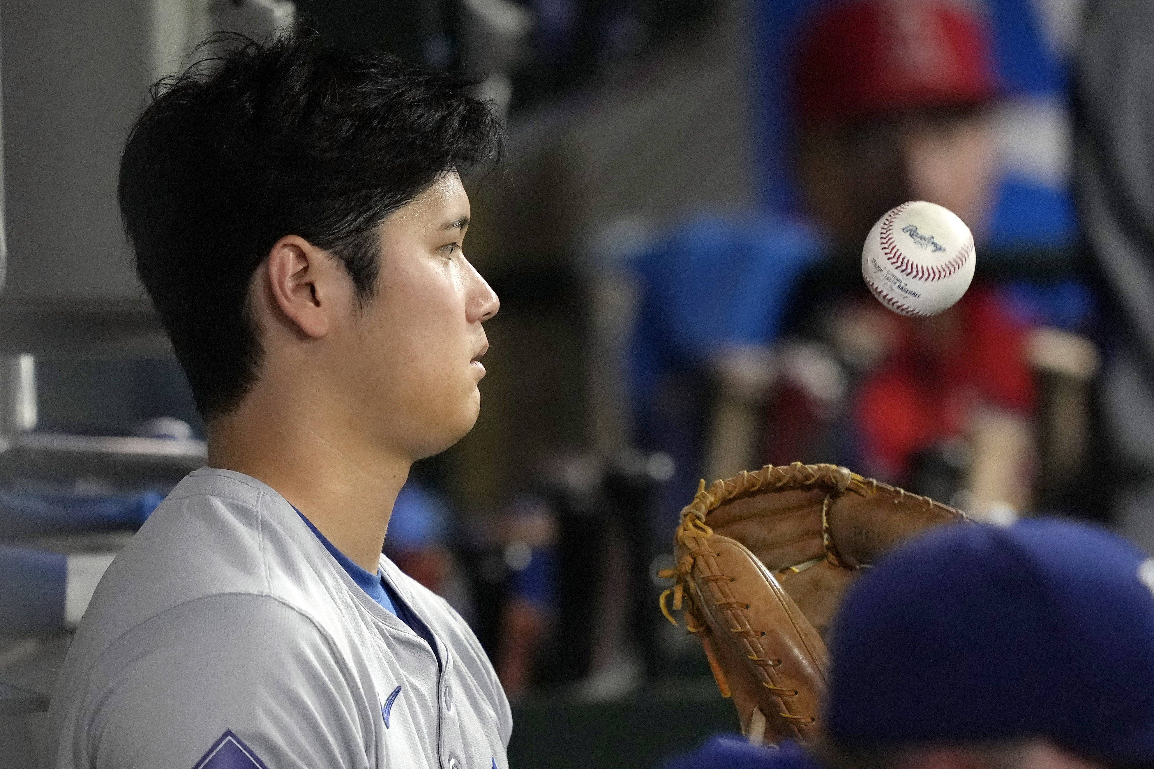 ☆本物（訳あり）☆エンゼルス 大谷翔平☆札幌ドーム勝利試合後
