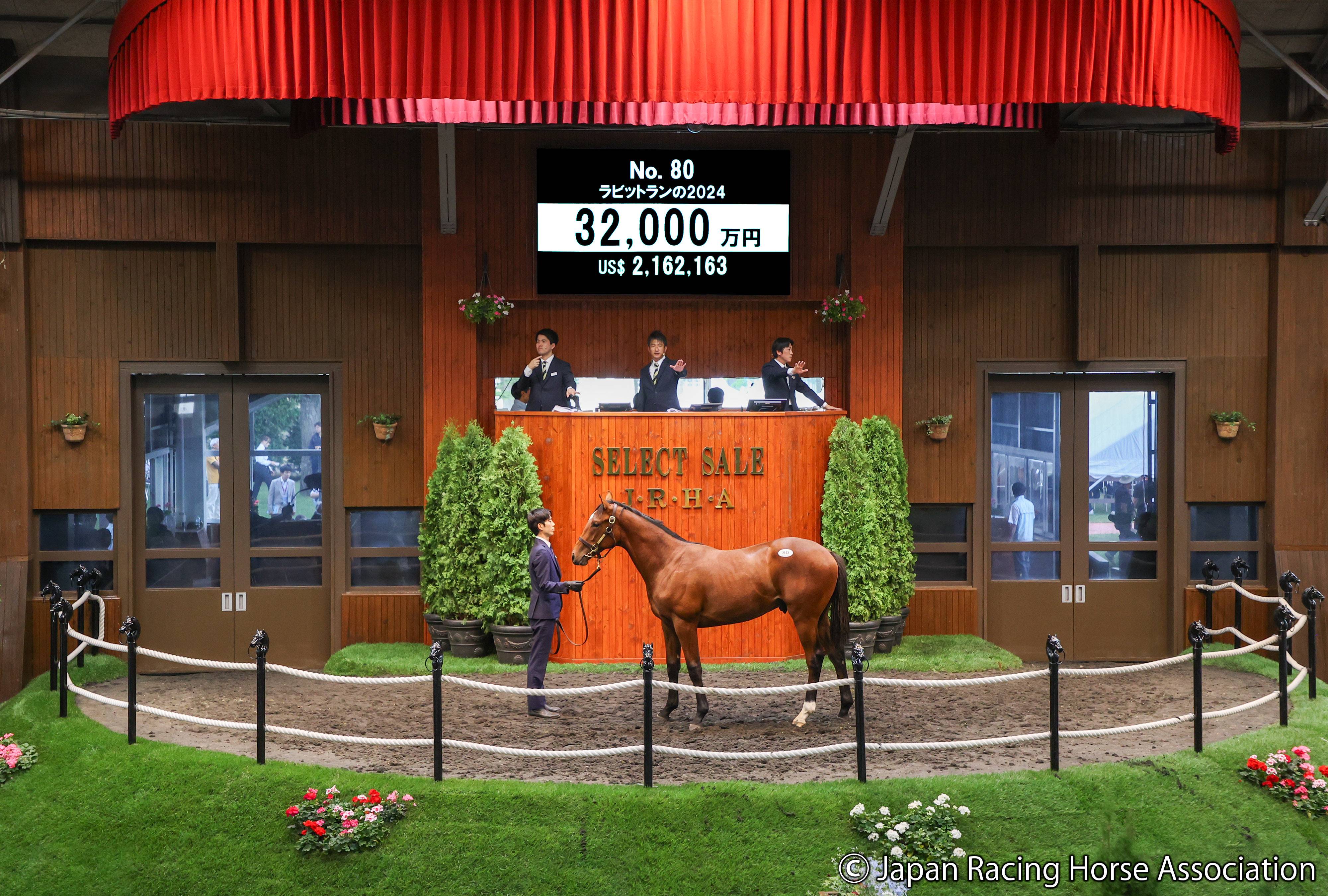 セレクトセール2025・初日】キタサンブラック牡馬が3億2000万円