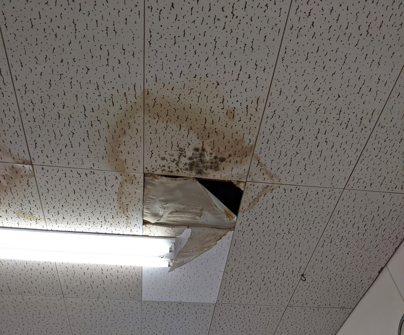 長雨が影響 学校の天井落下相次ぐ 大阪市教委が調査 産経ニュース