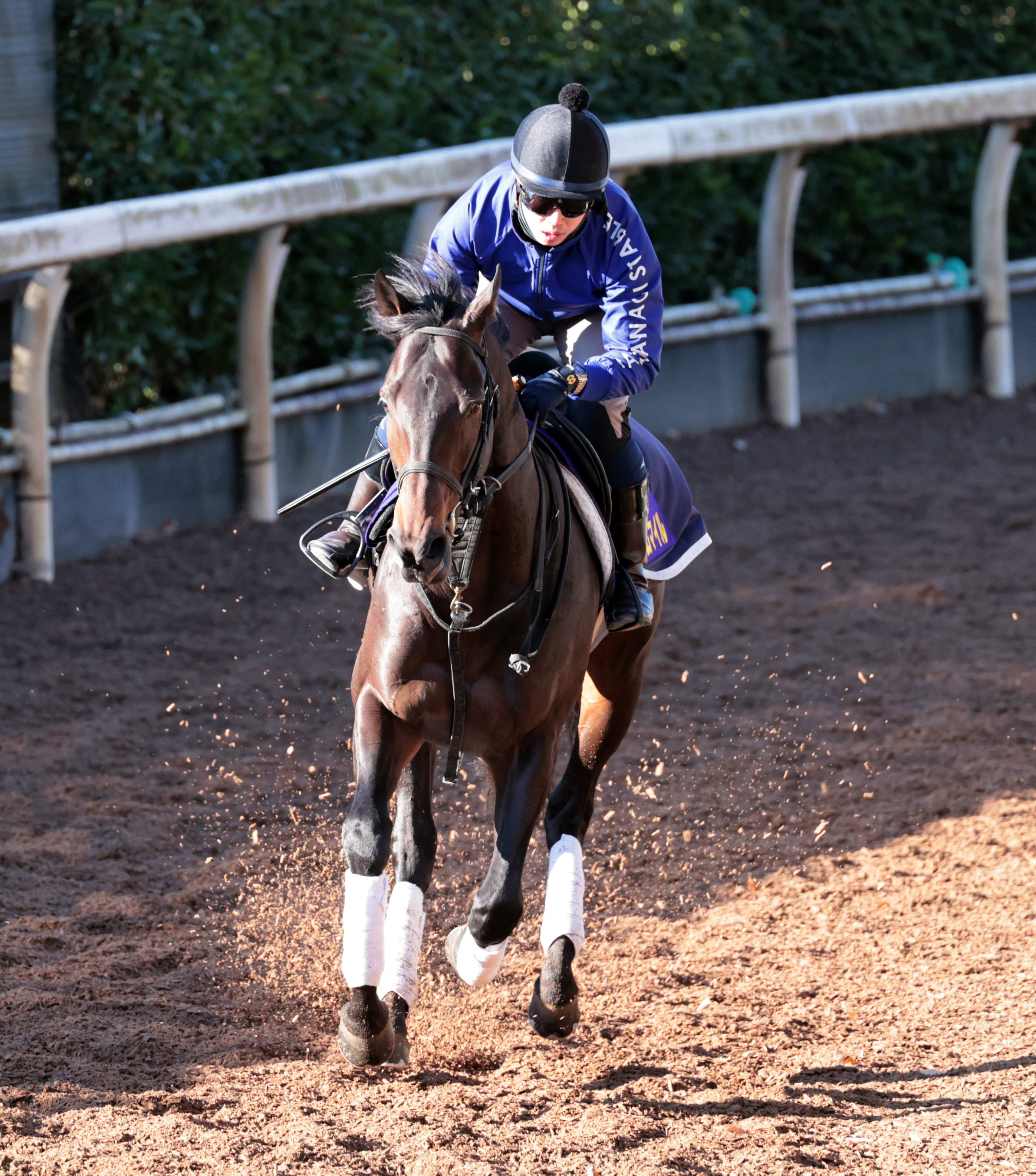 有馬記念】暮れのGP3勝の名手・岡部幸雄氏はミュージアムマイルに注目