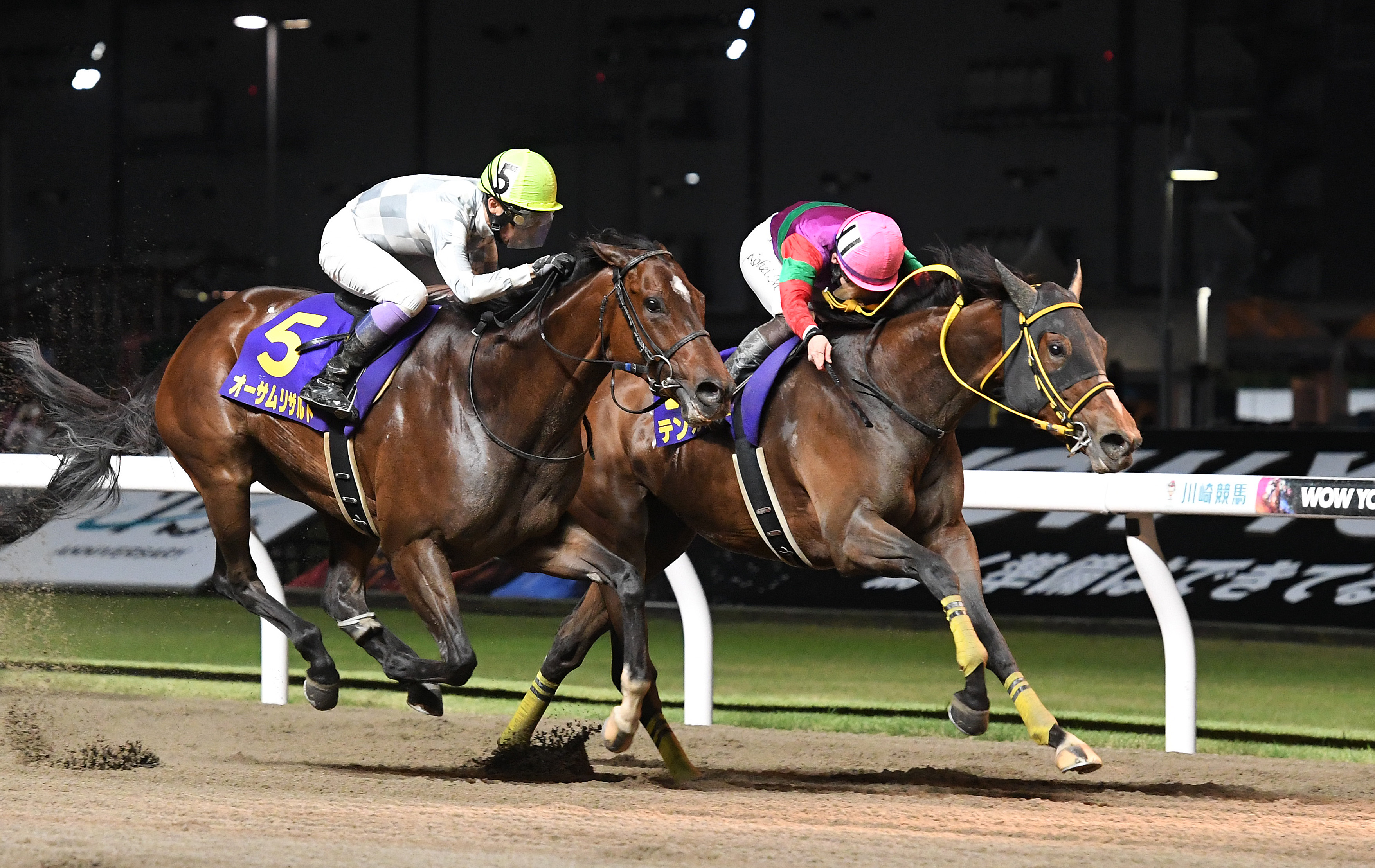 特別価格 川崎競馬・JpnⅢスパーキングレディーC】秋の天下取りへ レーシングプログラム