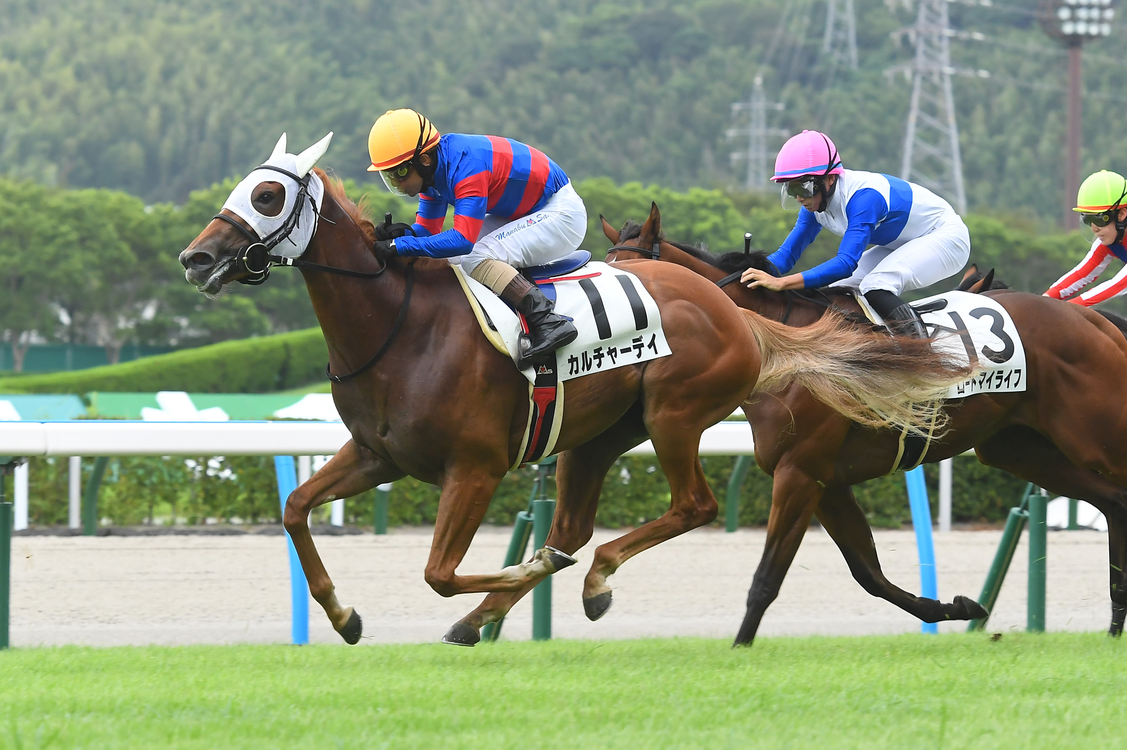 【２歳新馬・小倉５Ｒ】カルチャーデイが好位追走から抜け出して ...