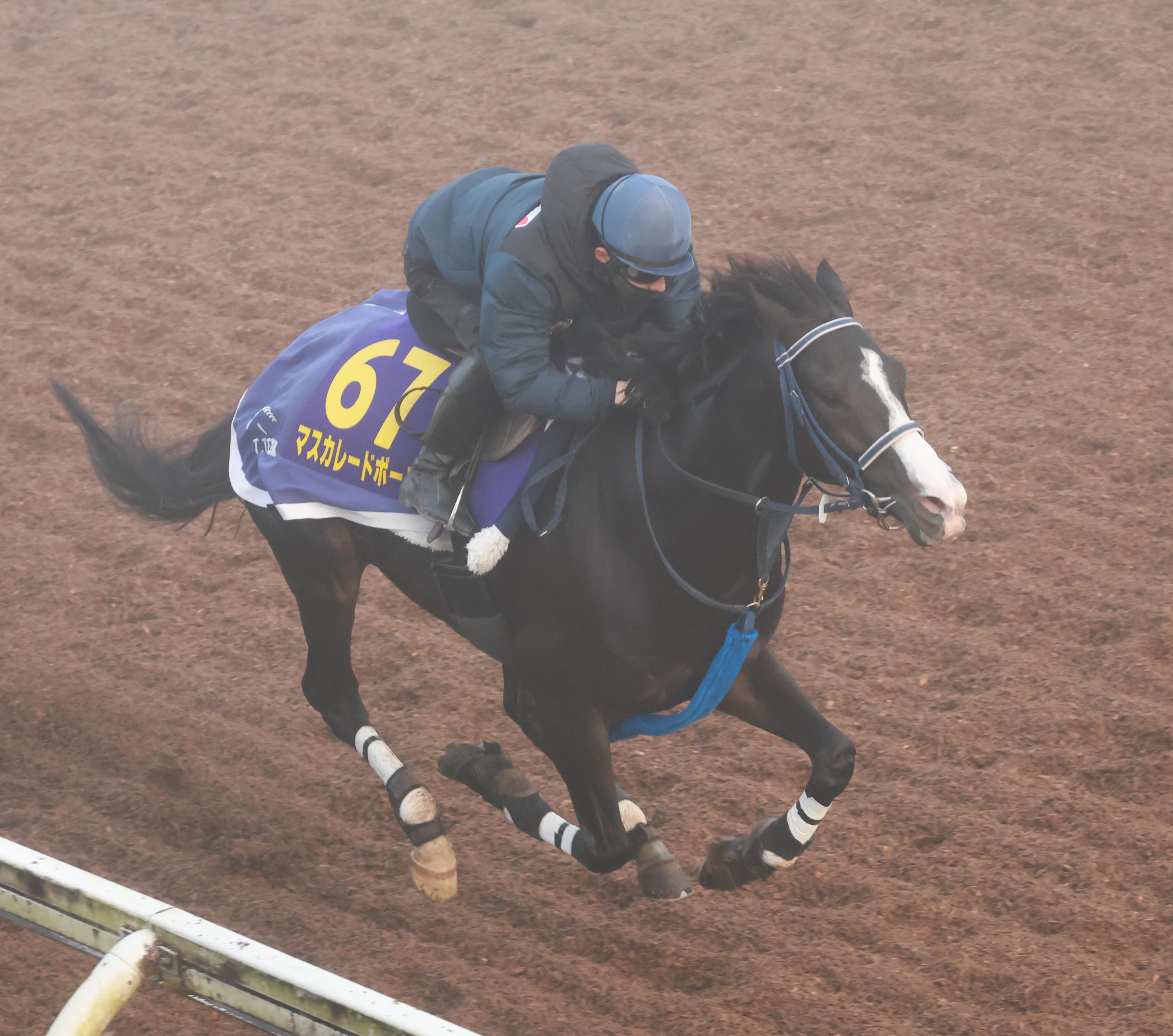 ジャパンC 追い切り】マスカレードボール モヤ切り裂き文句なしの快走