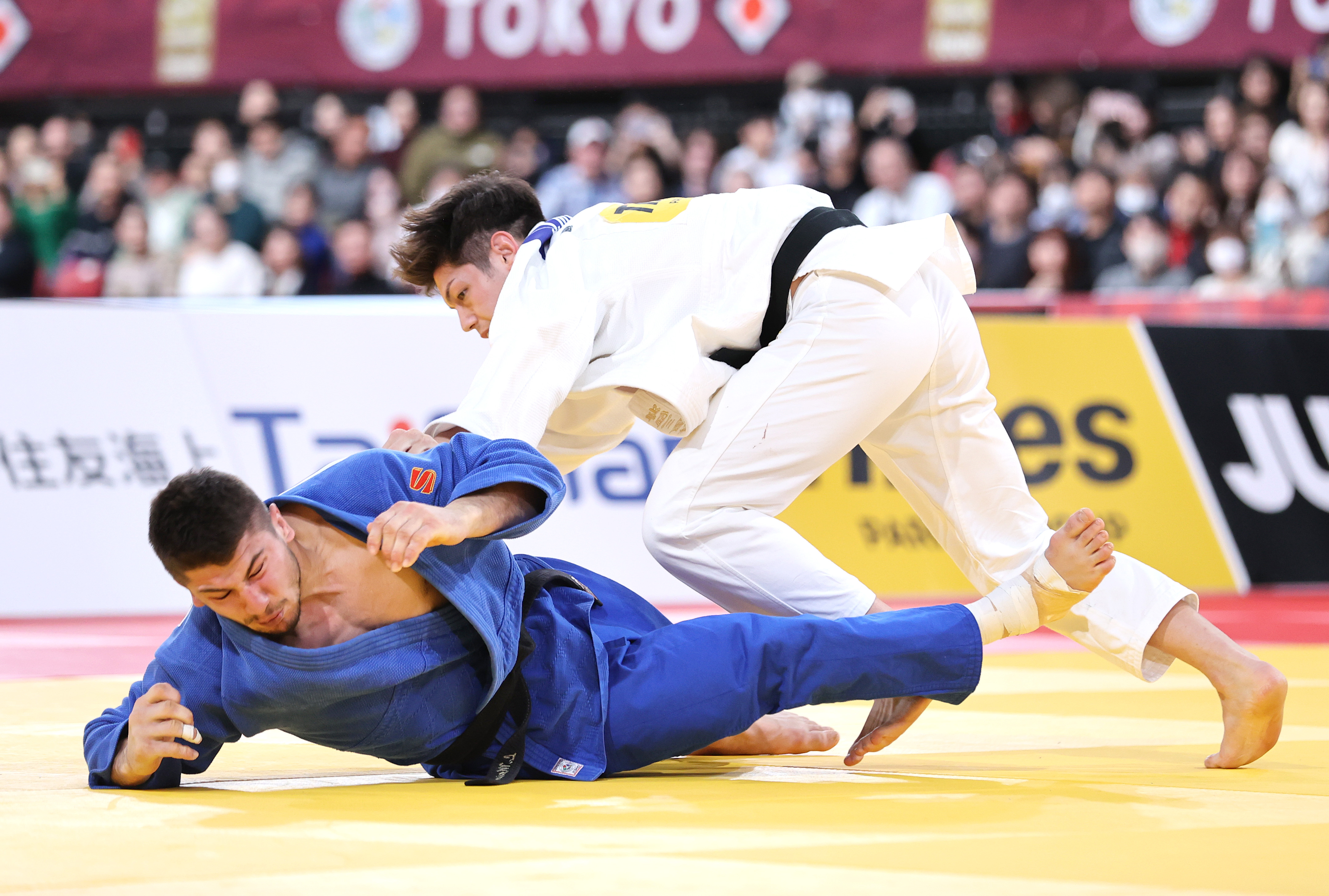 パリ五輪「銀」の村尾三四郎、圧巻の強さで再出発「逃げずに