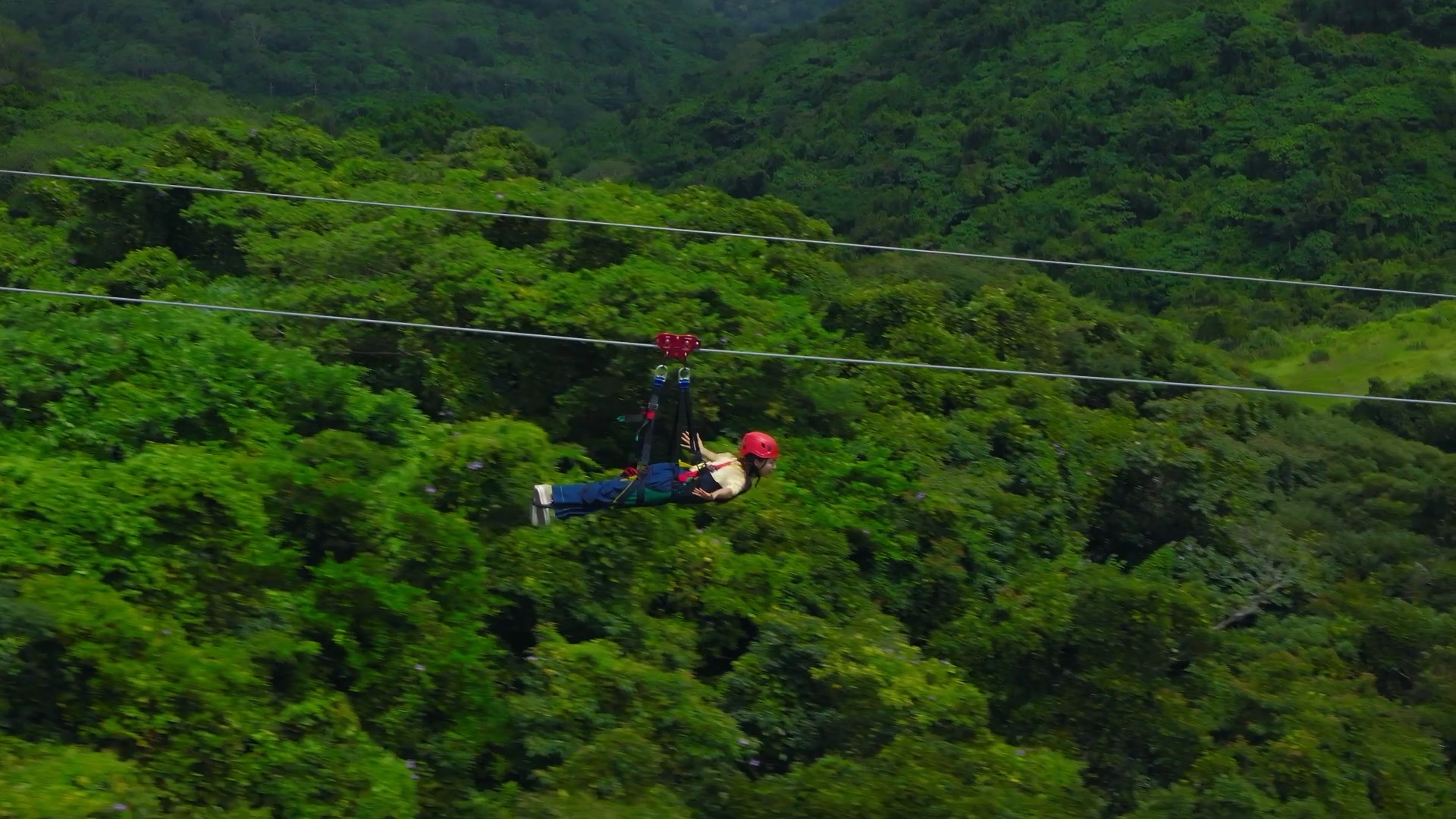 ジャングル専用 ドンジャングルS7【SR】{EX19S16/S20}《自然》