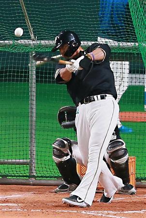 日本ハム 中田 フェースガード付ける けが防いでフル回転 サンスポ