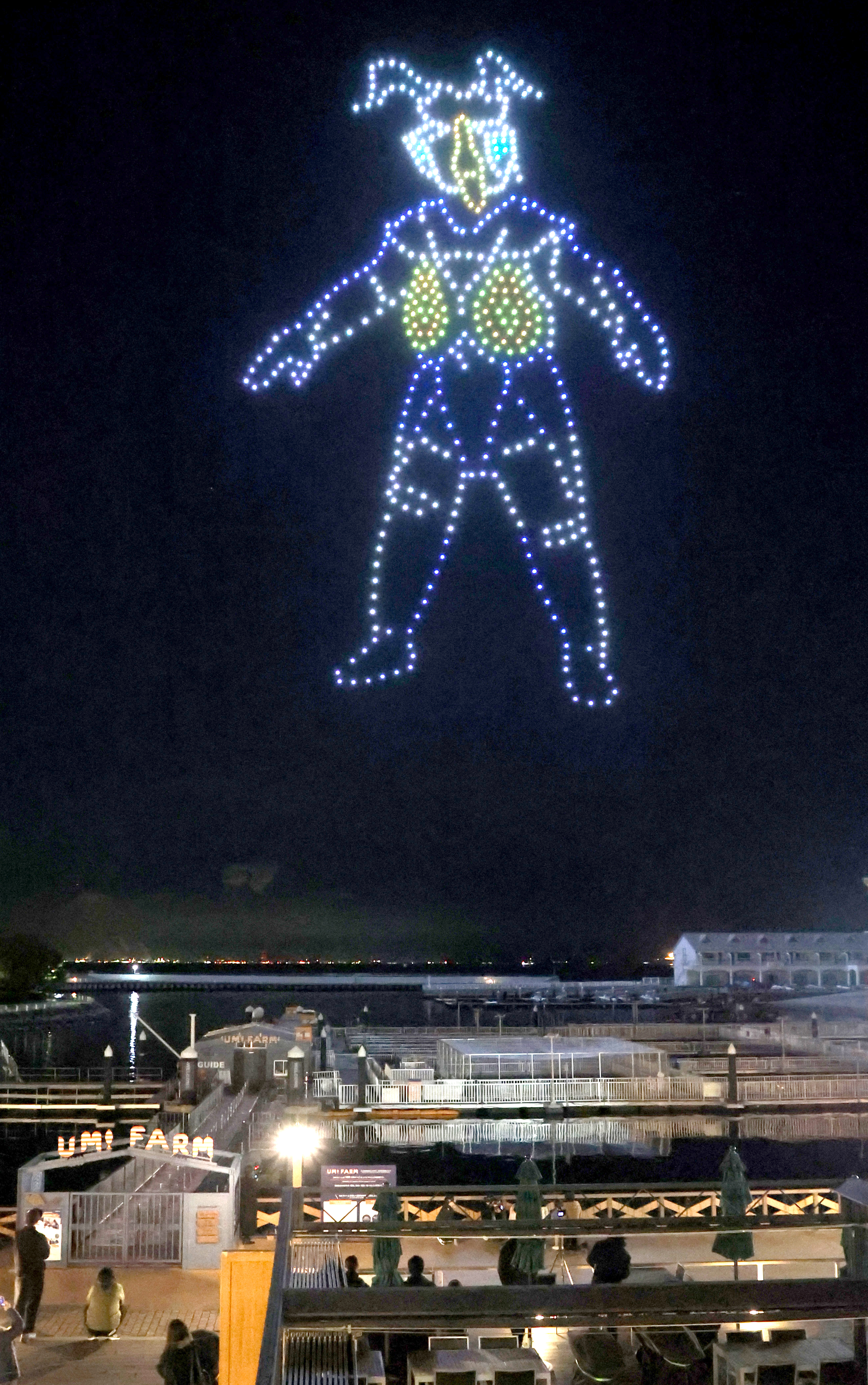動画】【フォト＆動画】夜空を彩るドローンショー 横浜・八景島シー