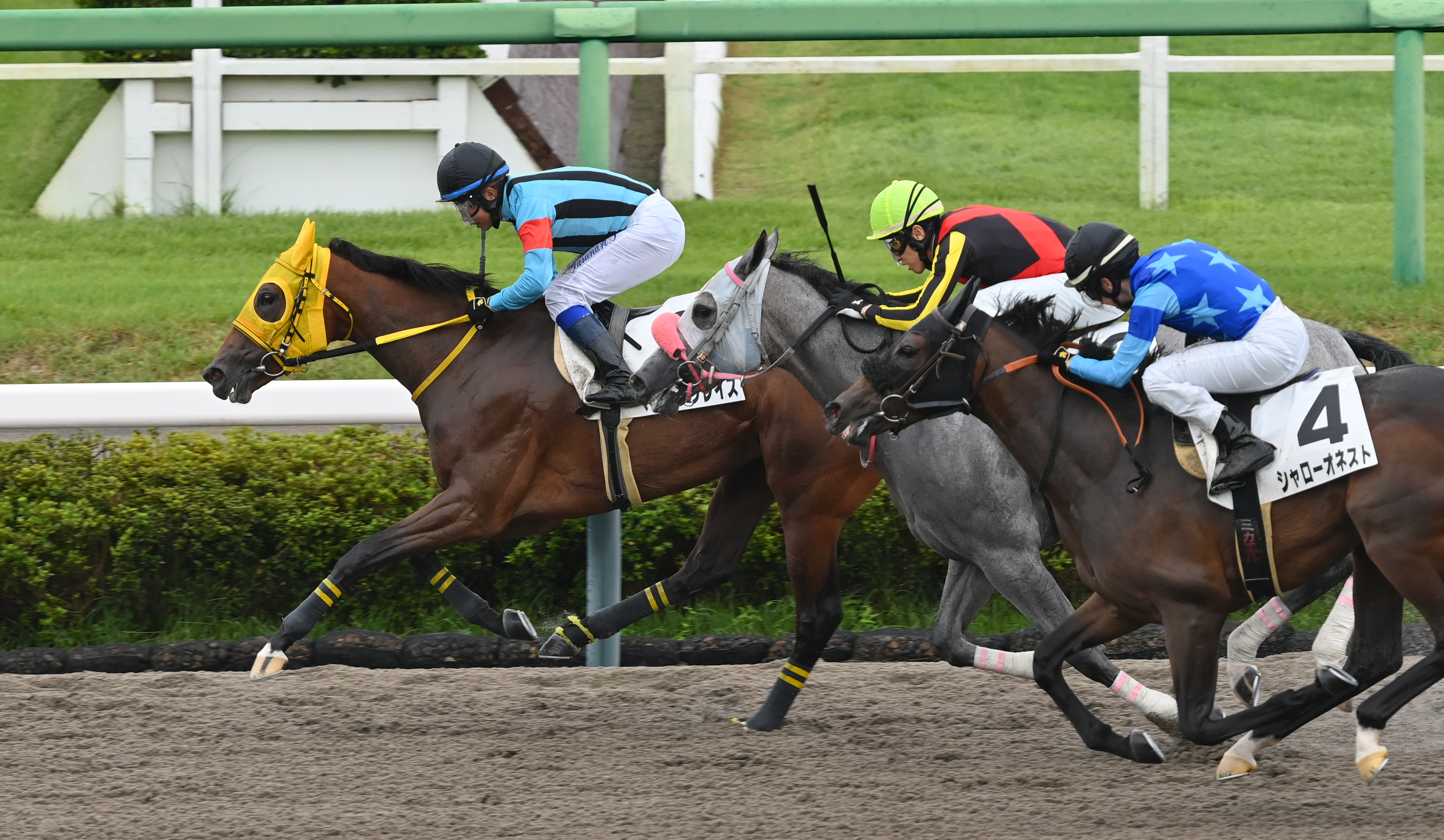 中山4R・2歳新馬】マートングレイスが鋭く伸びて初陣V 岩田康騎手