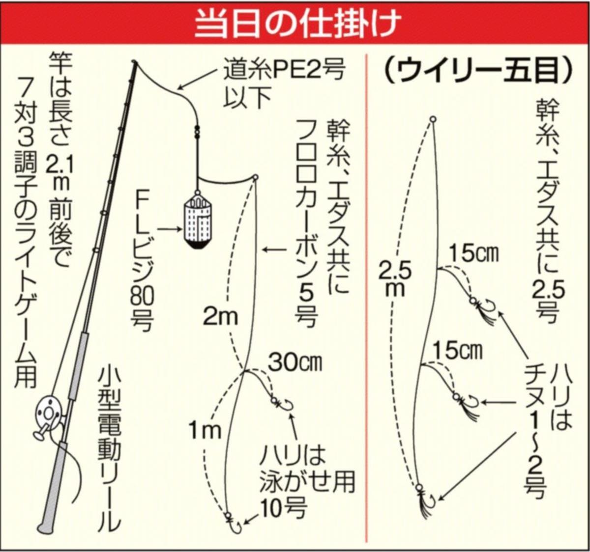 女子のミカタ ショートｌｔでイナダ五目だ 年末年始は手軽に強烈な引きを堪能 東京湾 久里浜沖 1 2ページ サンスポ