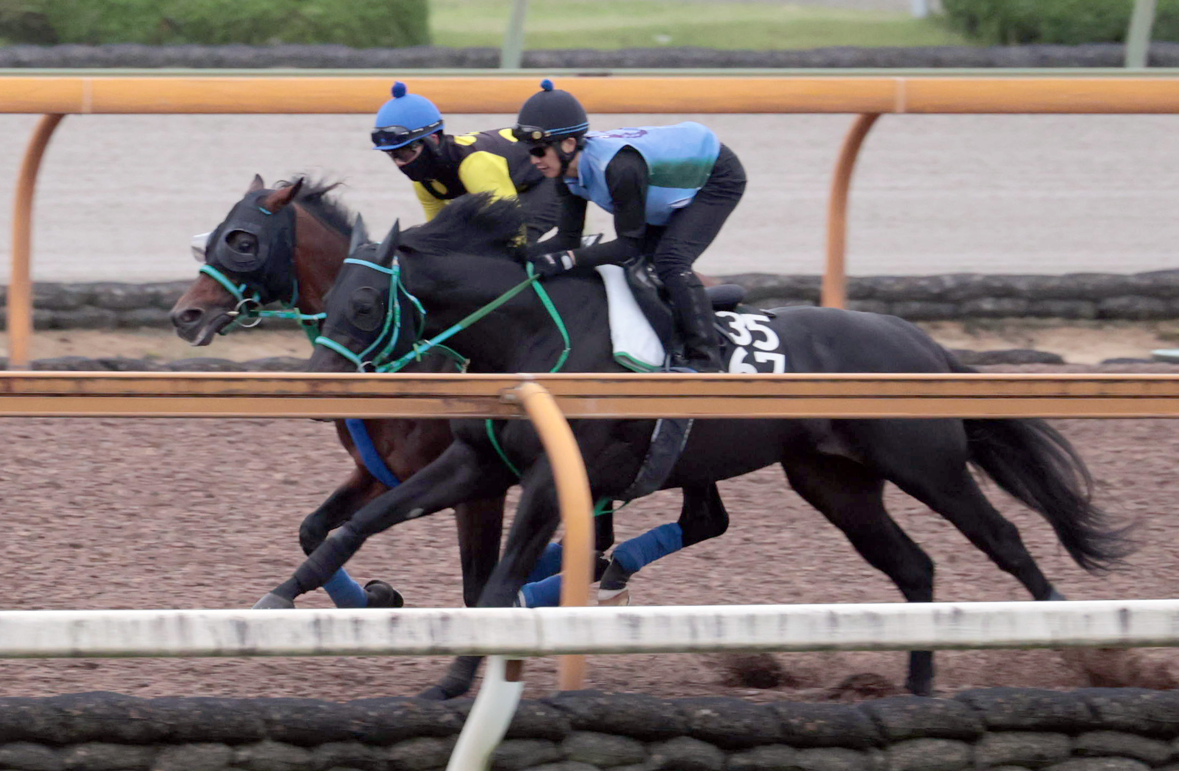 上山競馬　ラスト·メモリアル　武豊騎手 上山競馬 ラスト·メモリアル 武豊騎手 - メルカリ