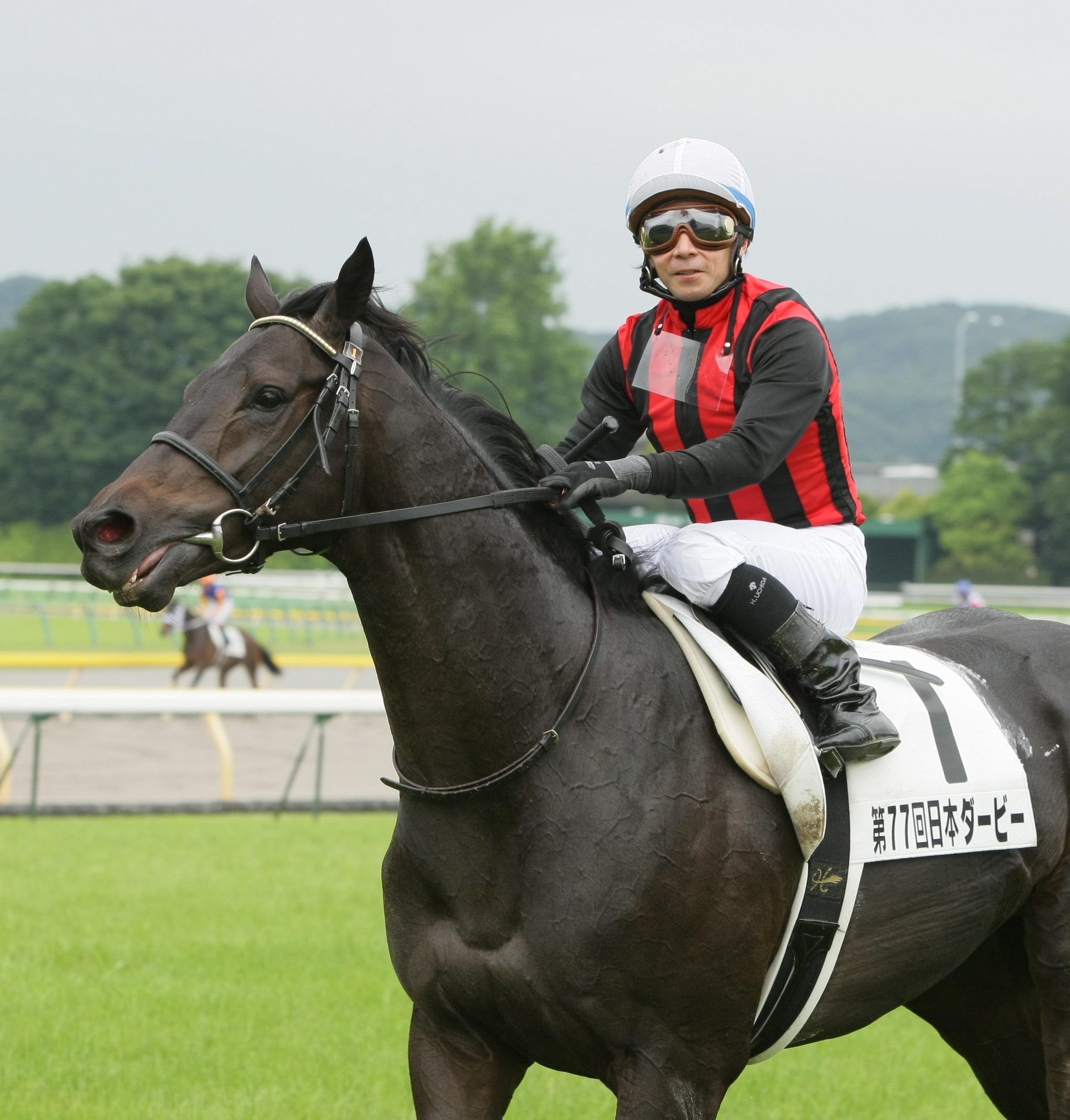 【エイシンフラッシュ】第77回日本ダービー(現地的中馬券) 5・10東京競馬場に来場するエイシンフラッシュ ローズガーデン内の展示