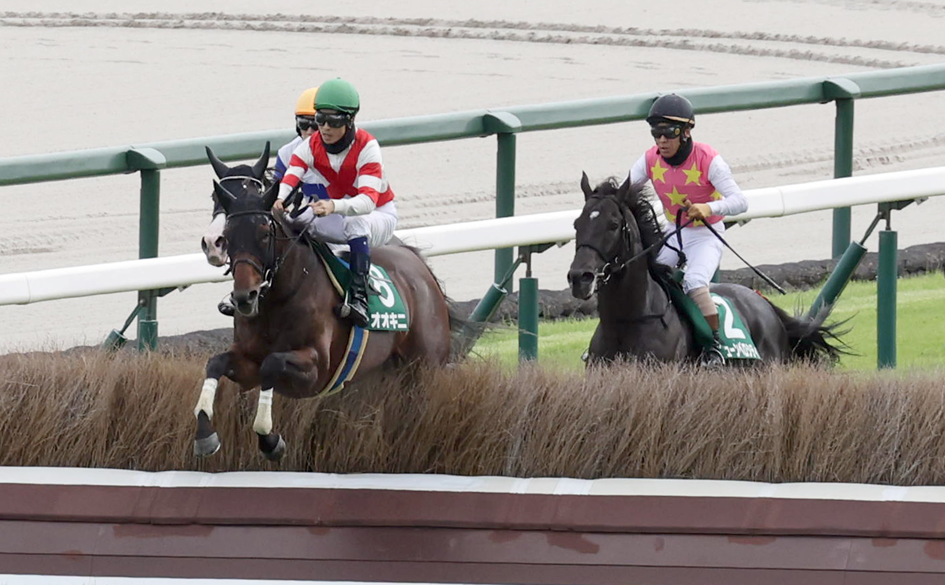 阪神ジャンプS】オオキニが2着続きに終止符！ うれしい重賞初勝利