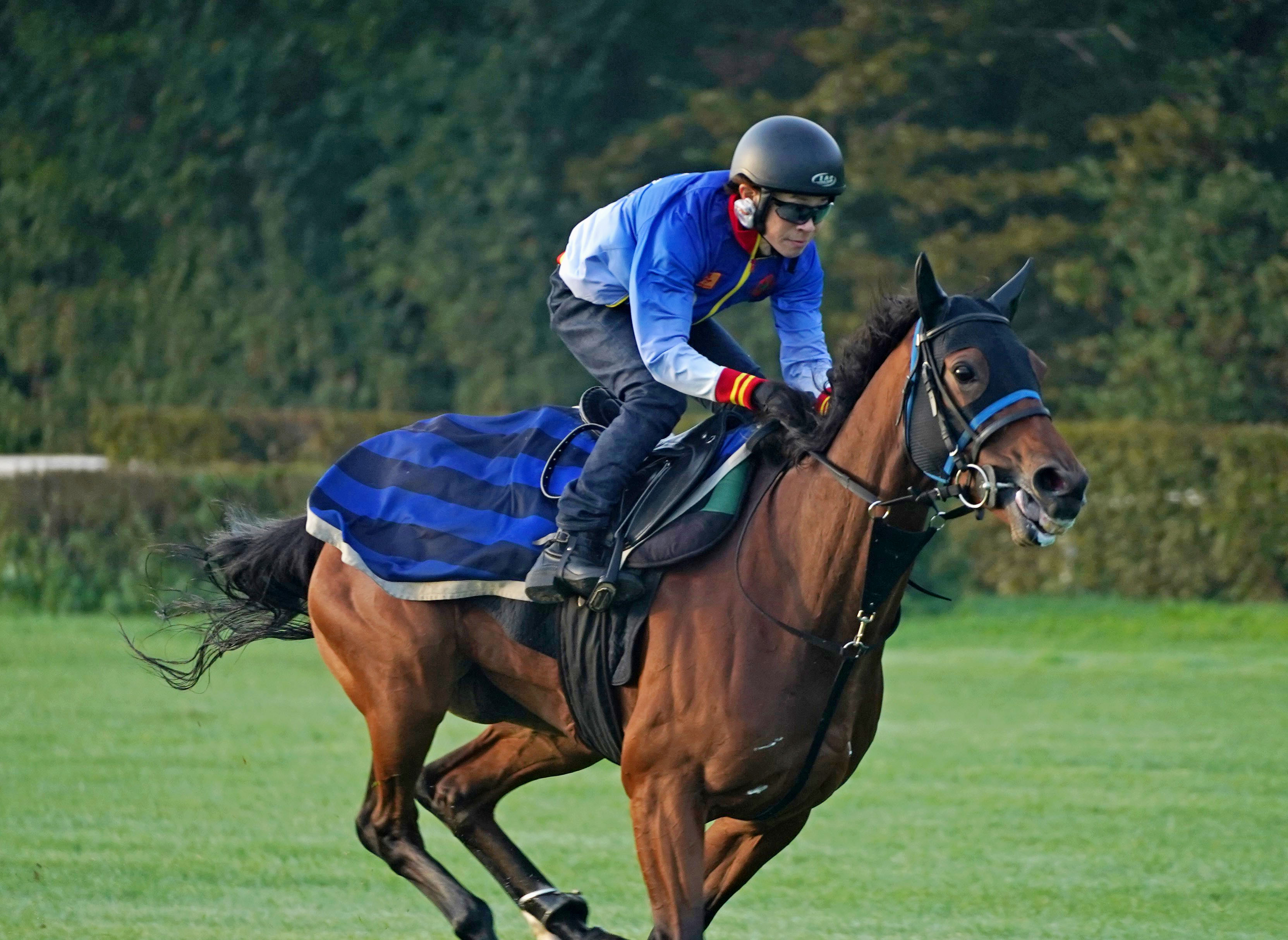 スルーセブンシーズは４着で日本馬Ｖならず 凱旋門賞 - 産経ニュース