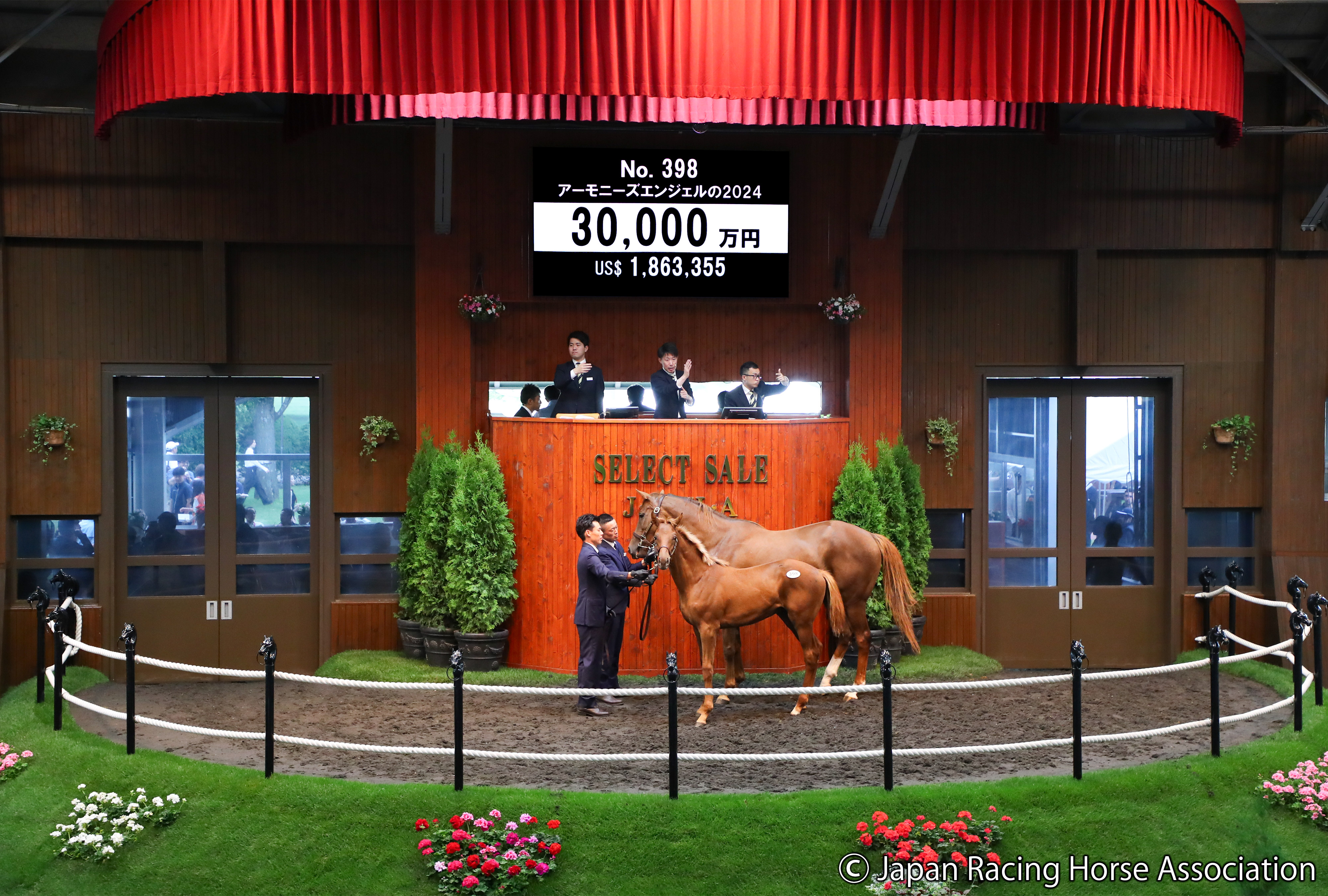 セレクトセール2024】アーカンソーダービー馬の半弟が3億円で落札