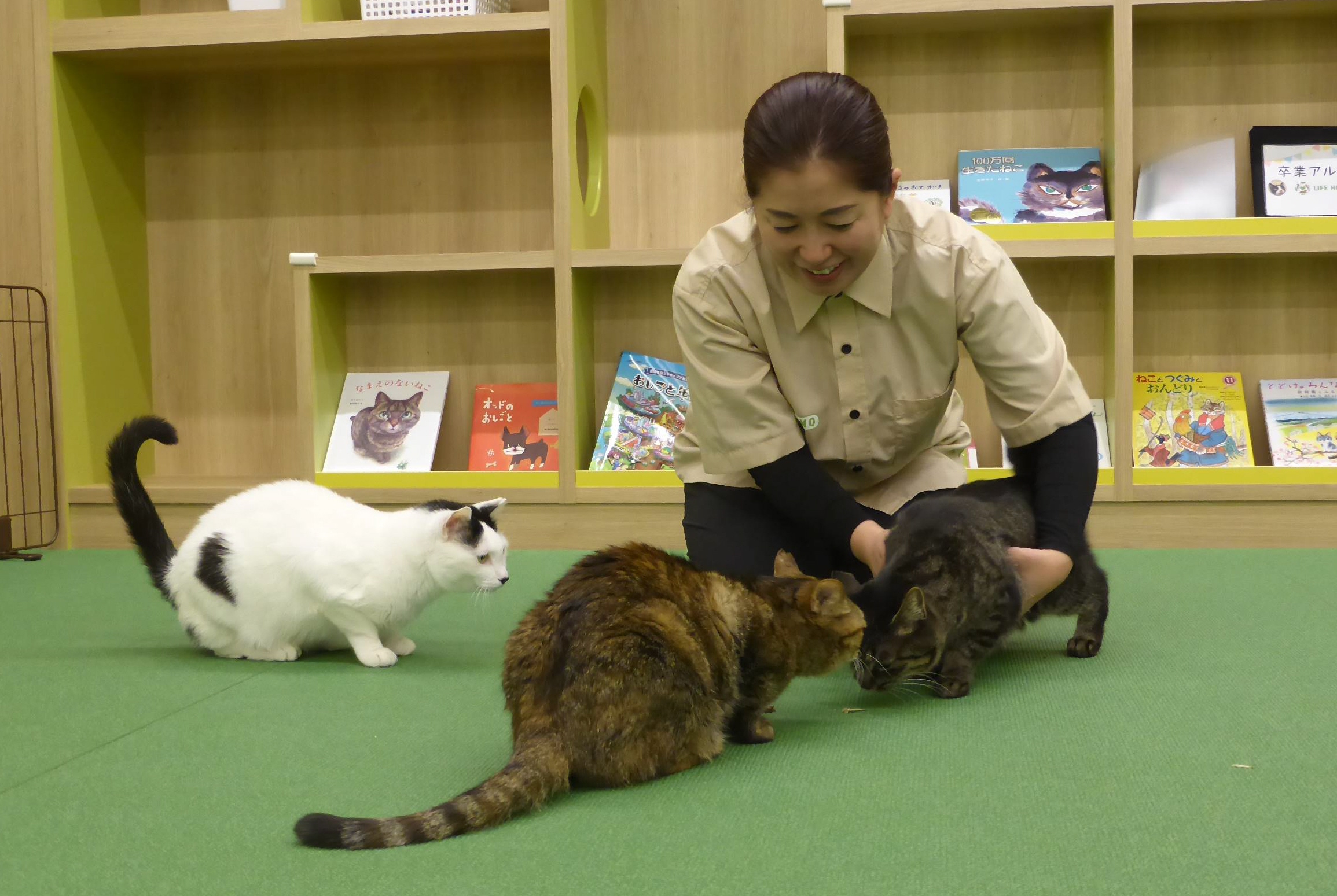 イオンペット ライフハウス 販売 猫 譲渡 評判