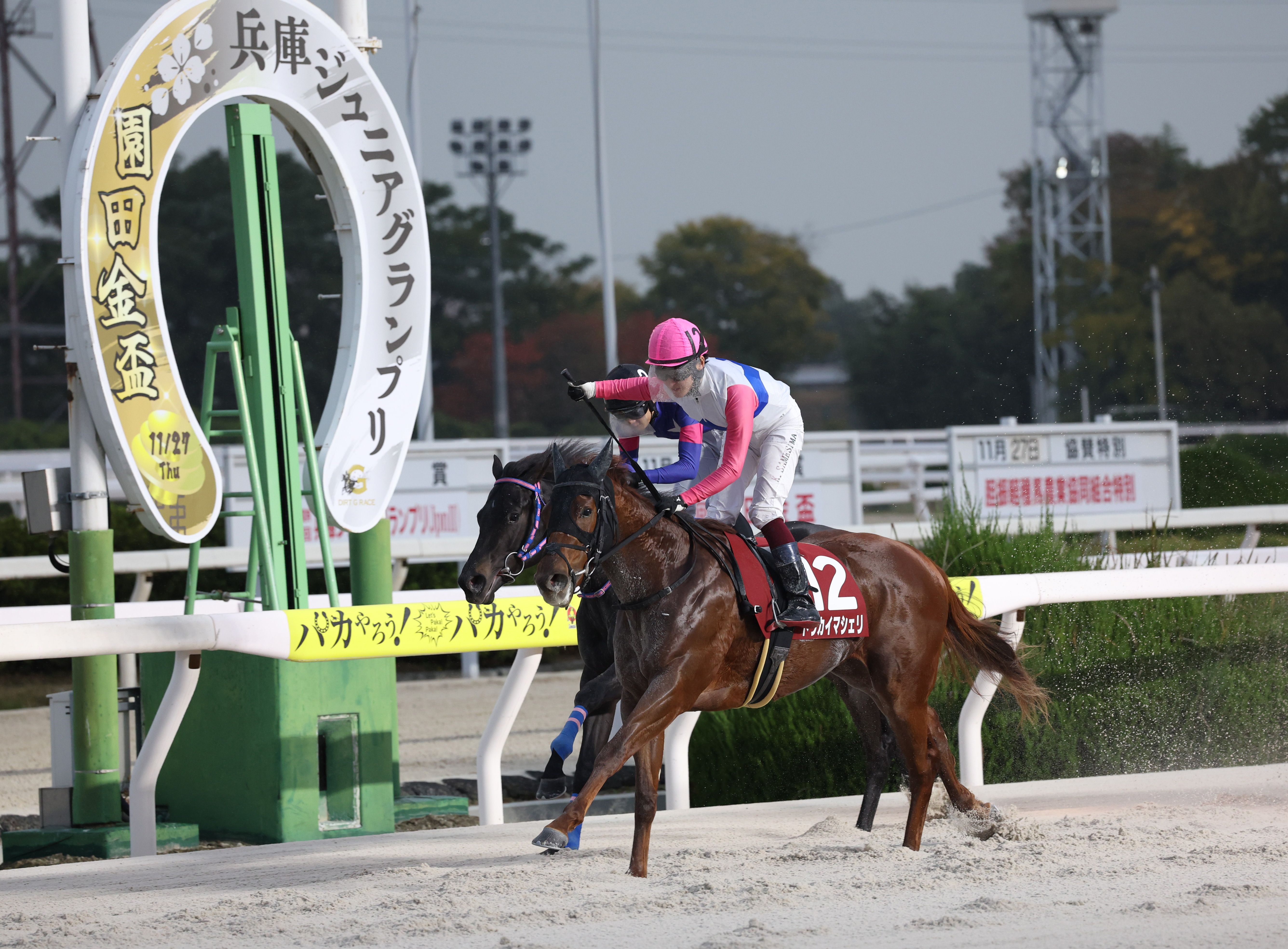 兵庫ジュニアGP】牝馬のトウカイマシェリが果敢にまくって重賞初制覇