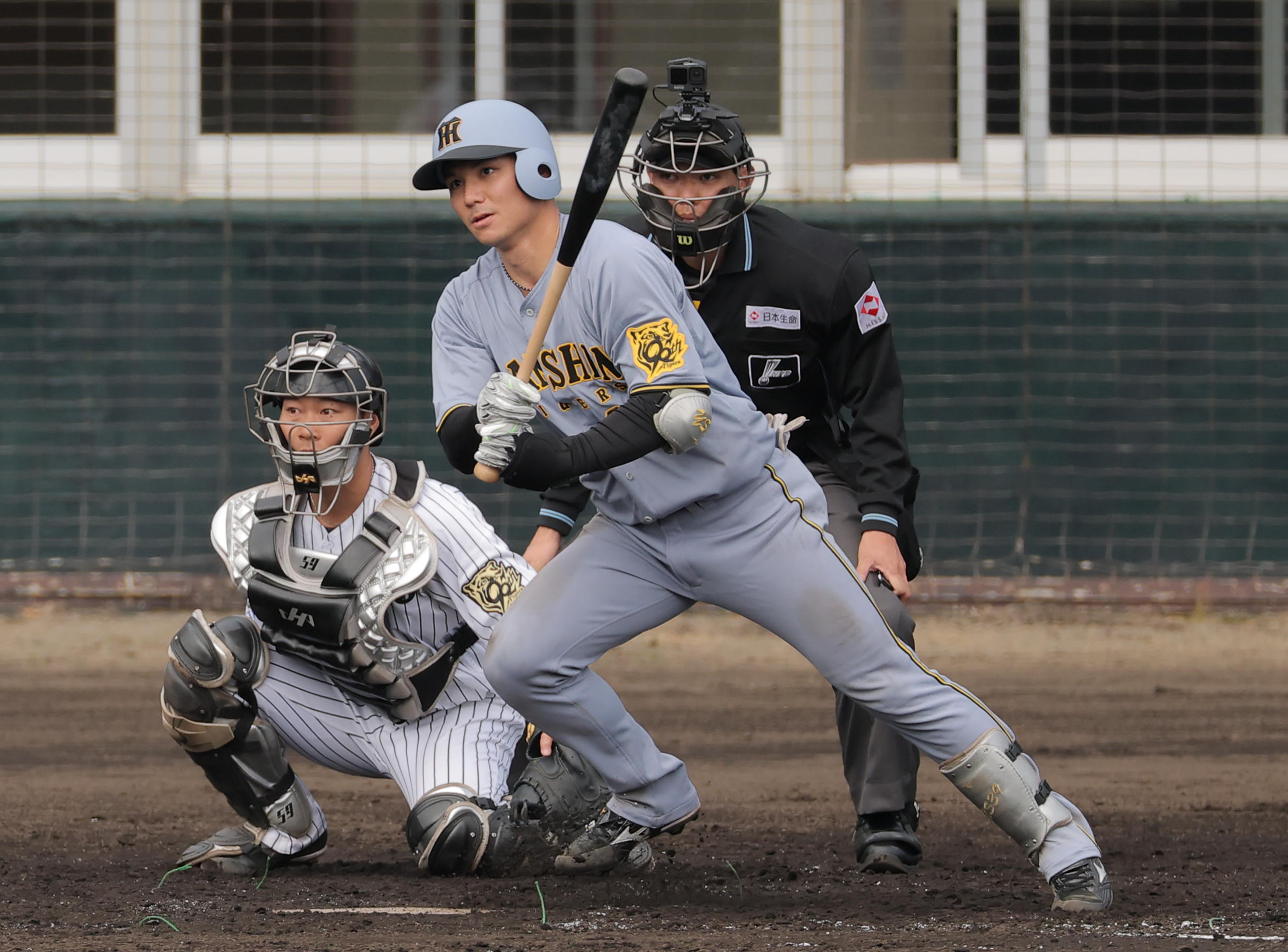 阪神タイガース　ボブルヘッド　藤川球児監督　才木浩人選手（２体セット） 阪神タイガース ボブルヘッド 藤川球児監督 才木浩人選手（2体