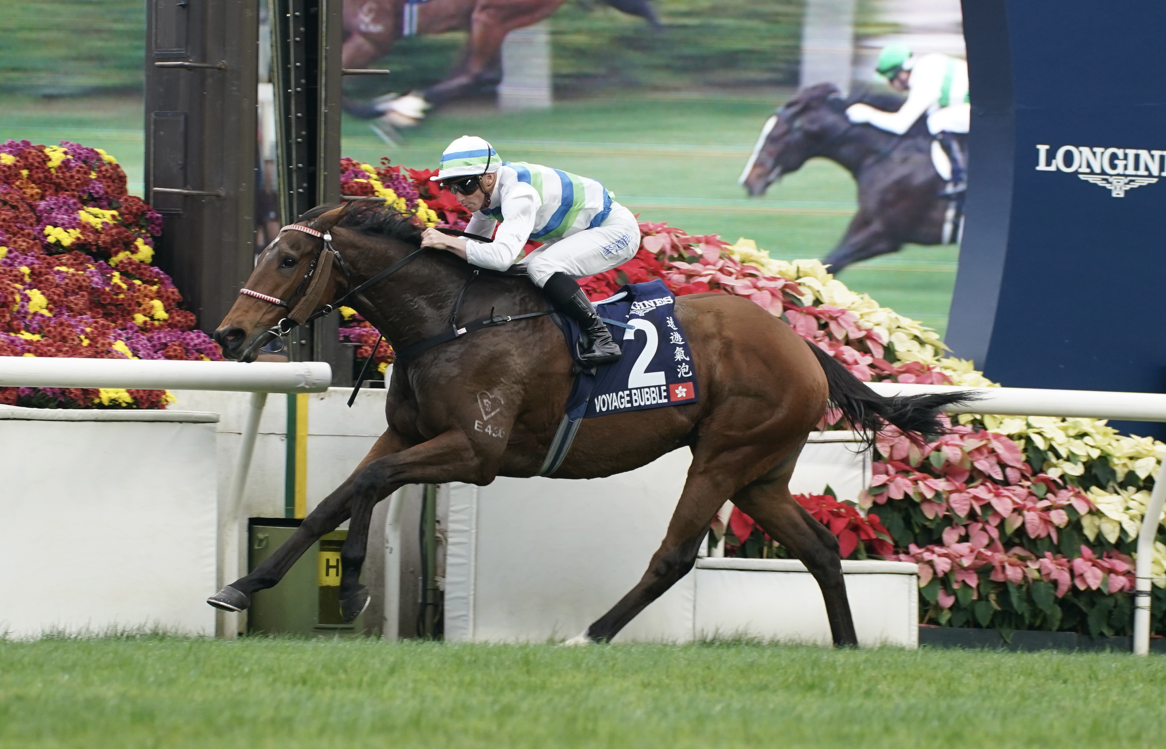 香港マイル】1番人気の地元ヴォイッジバブルがV ソウルラッシュ