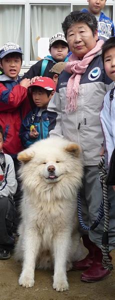 ぶさかわ秋田犬 わさお の飼い主 菊谷節子さん死去 捨て犬を人気者に育てる 産経ニュース