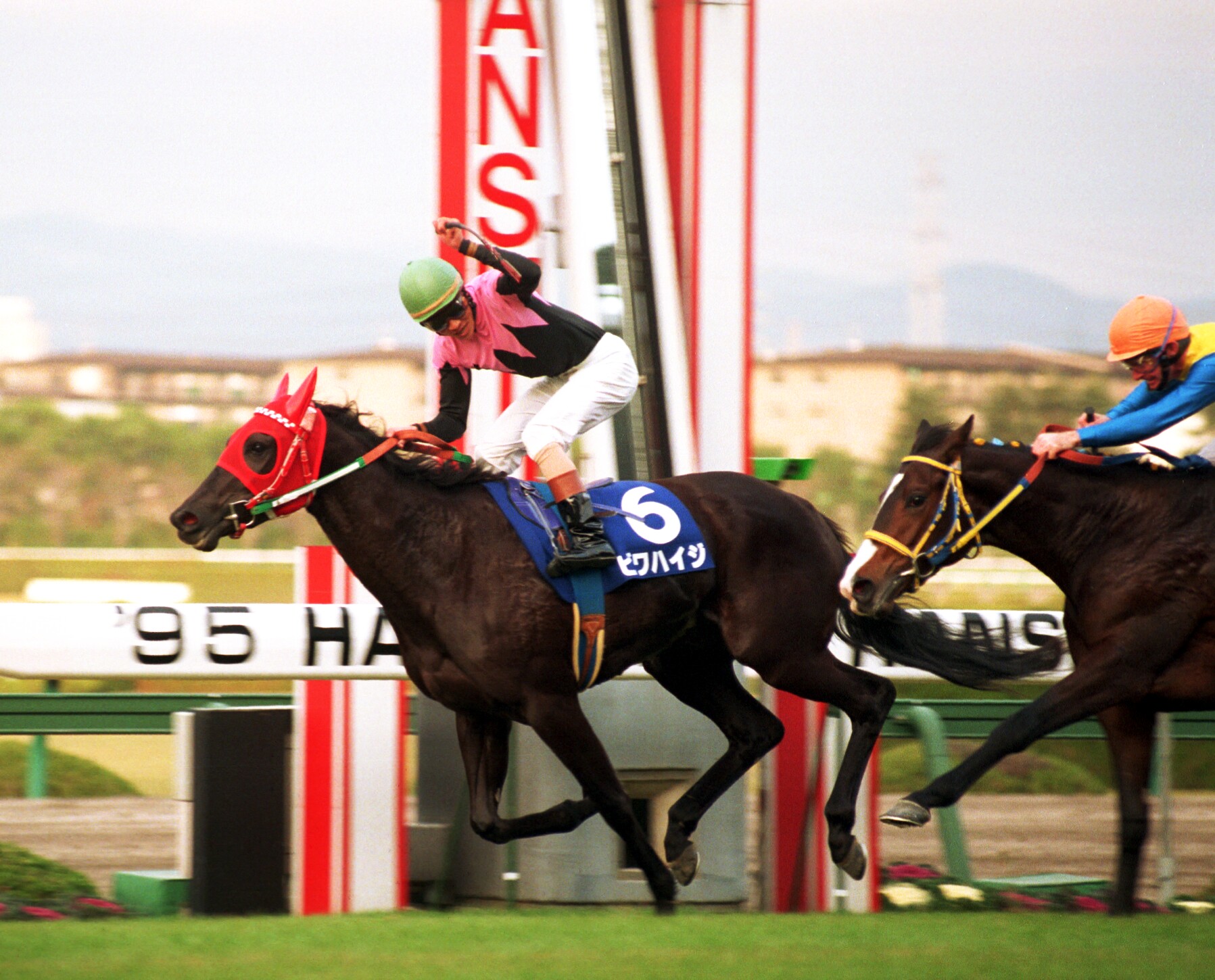 リレーコラム 関西競馬エイト ビワハイジの死を悼むｂｙ藤岡 サンスポzbat