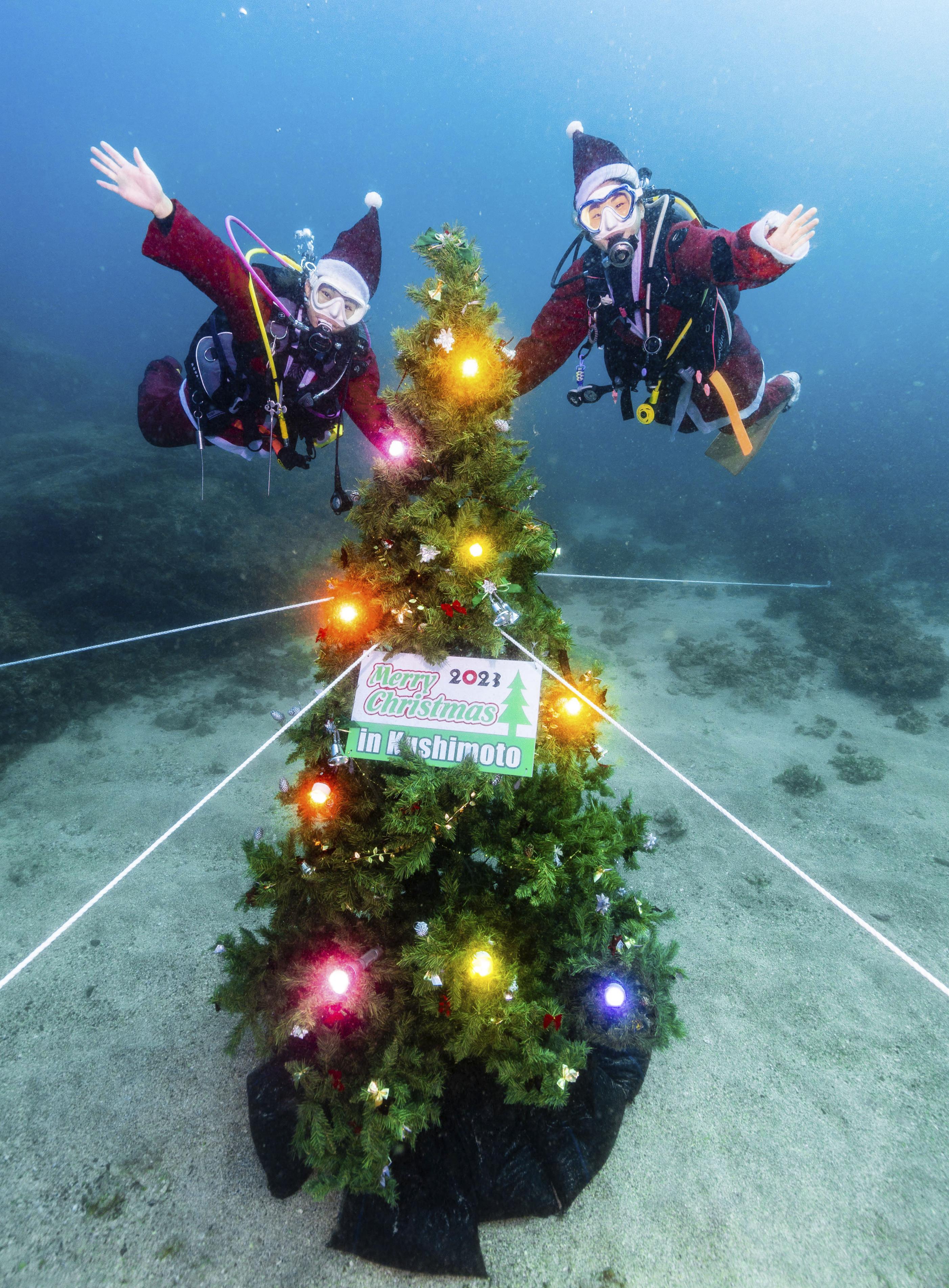 海中にきらきら Xマスツリー 和歌山・串本町沖 - 産経ニュース