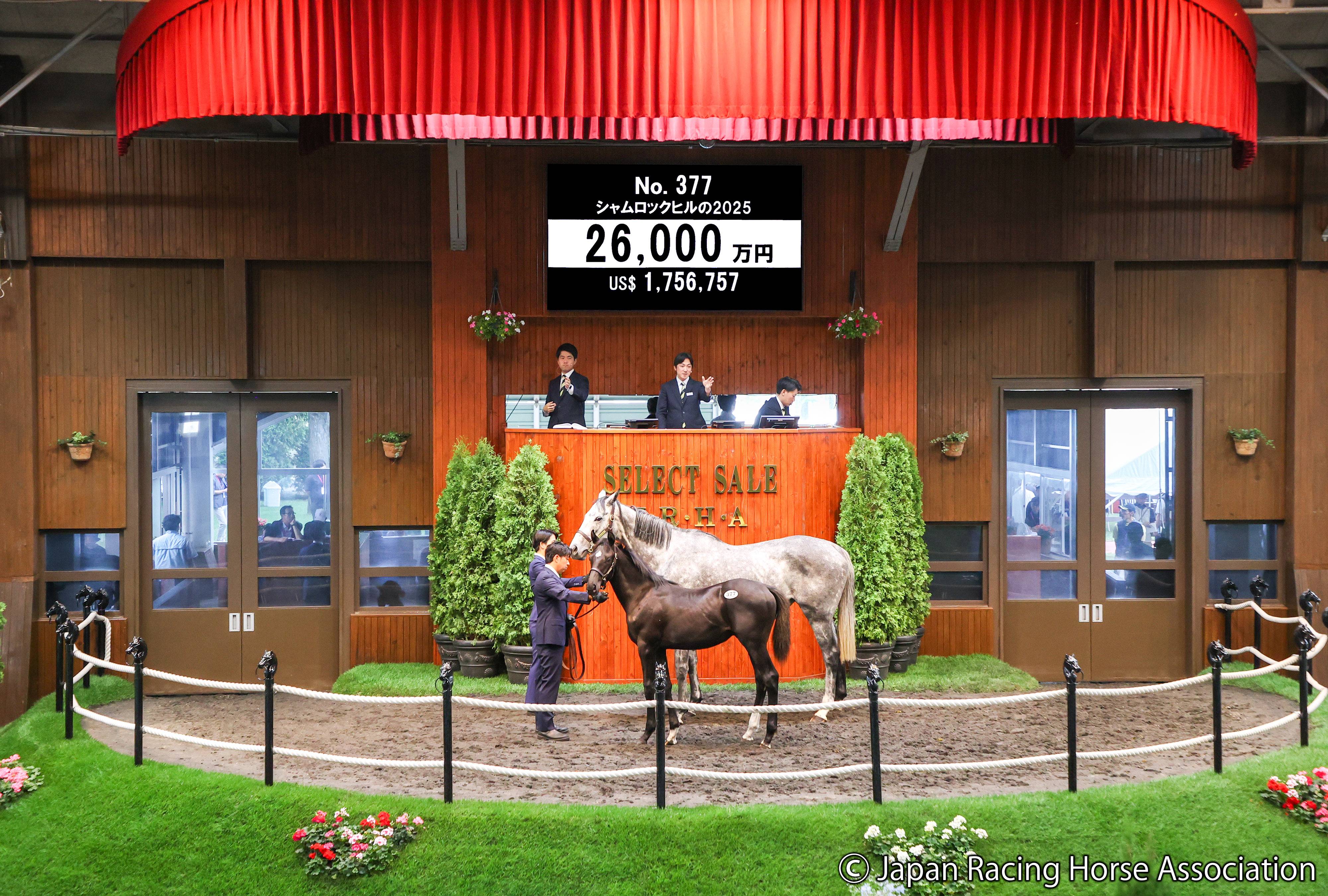 セレクトセール2025・2日目】マーメイドS勝ち馬の息子が2億6000万円で