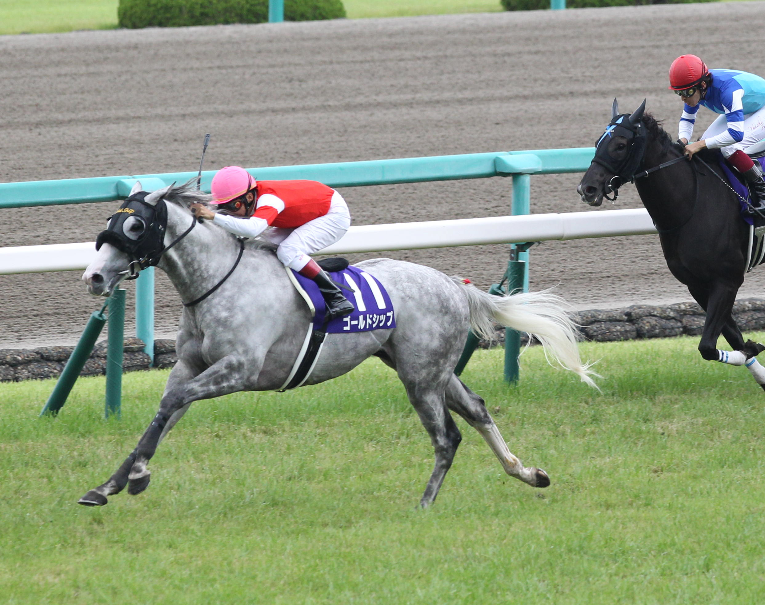 種牡馬ゴールドシップもあっぱれ！ 史上初の宝塚記念父子連覇に