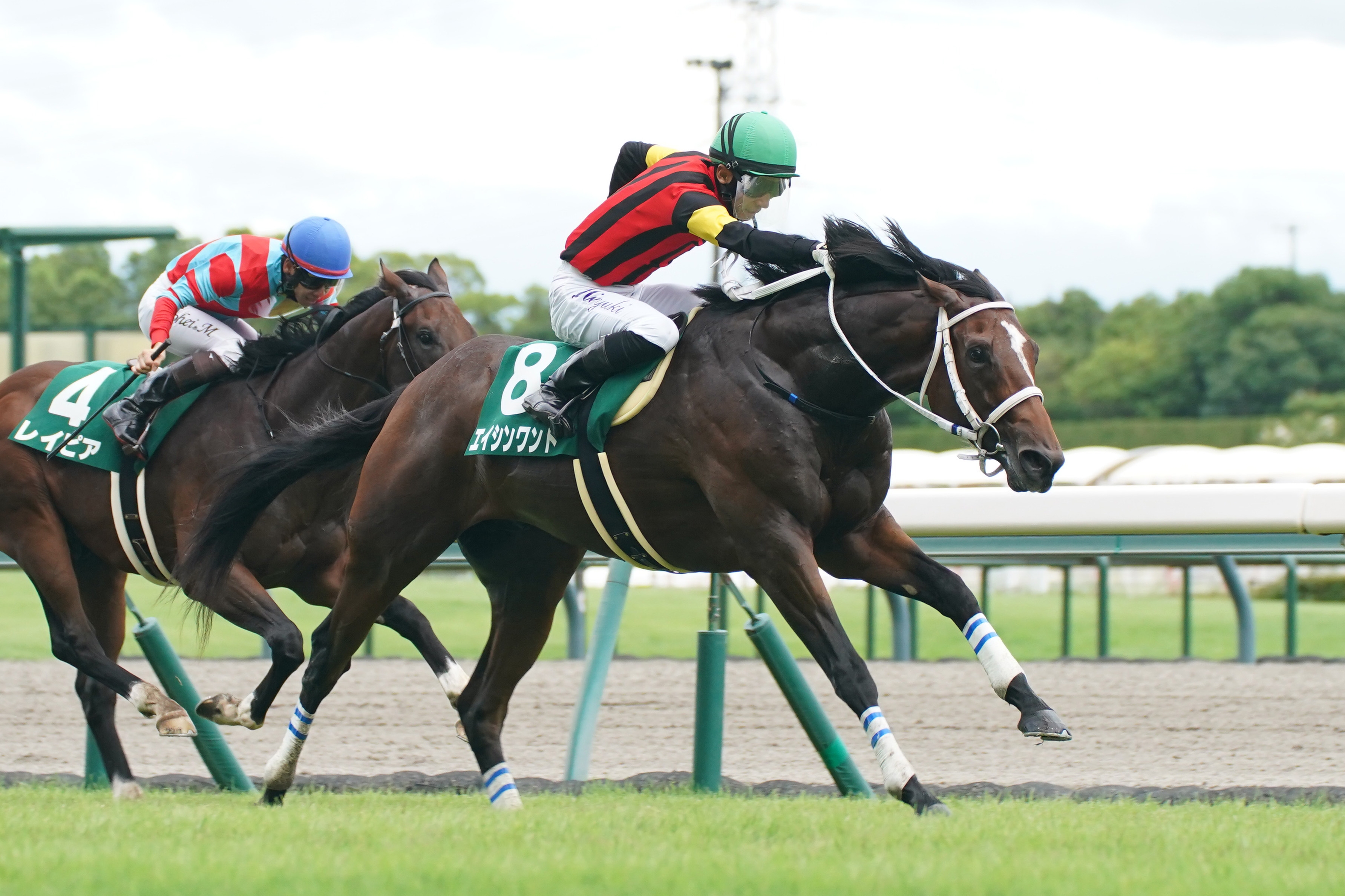 2024年の小倉2歳S勝ちエイシンワンドが園田競馬に移籍 - サンスポZBAT!