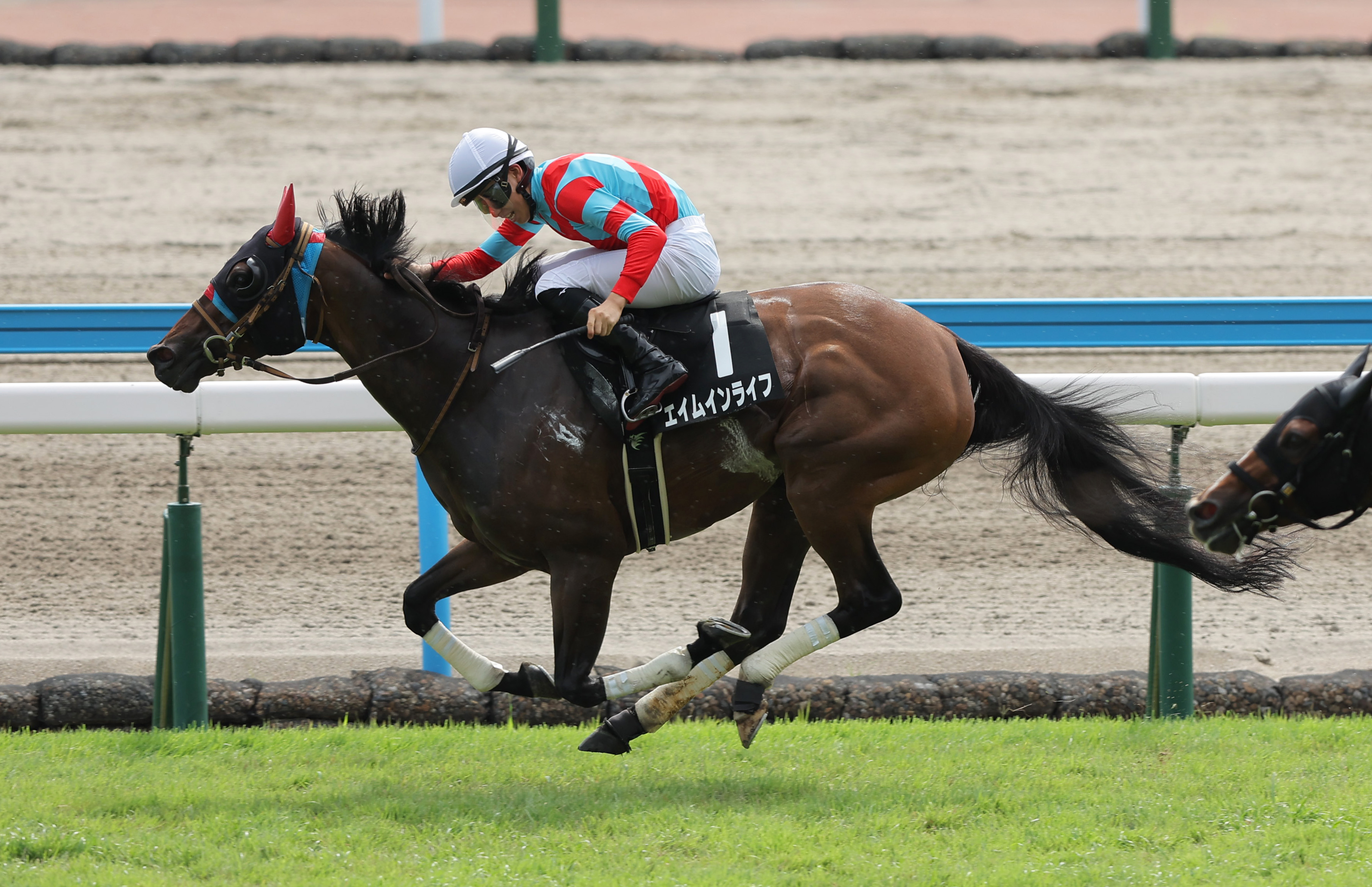 競馬占星術 : 儲かるST方式 早崎郁舟 著、東京スポーツ新聞社 初版 MJT7KLOQ65JF7JSHRXCJVT2IOI.jpg