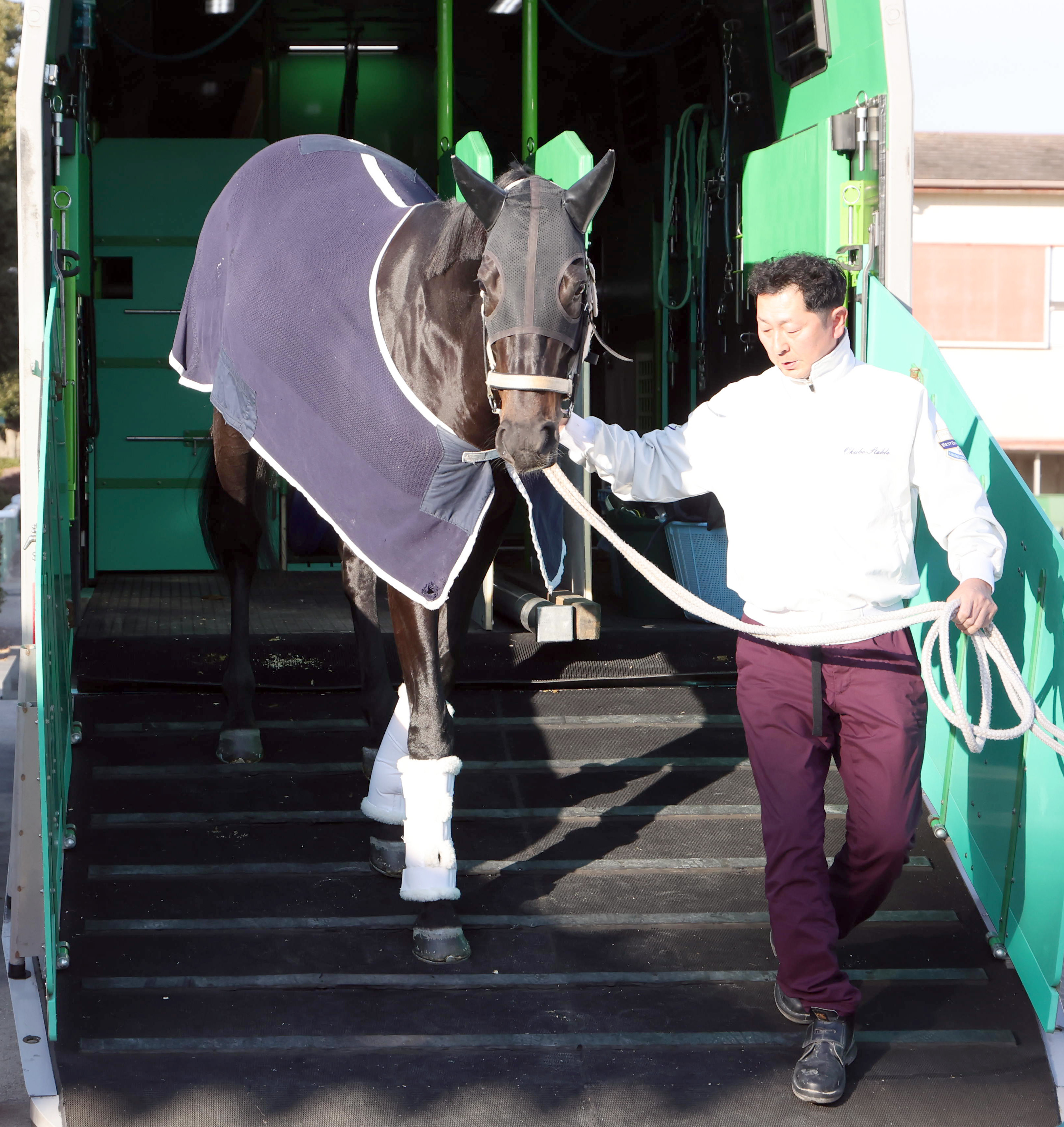 ディープボンドが有馬記念13着を最後に引退…国内外で重賞4勝