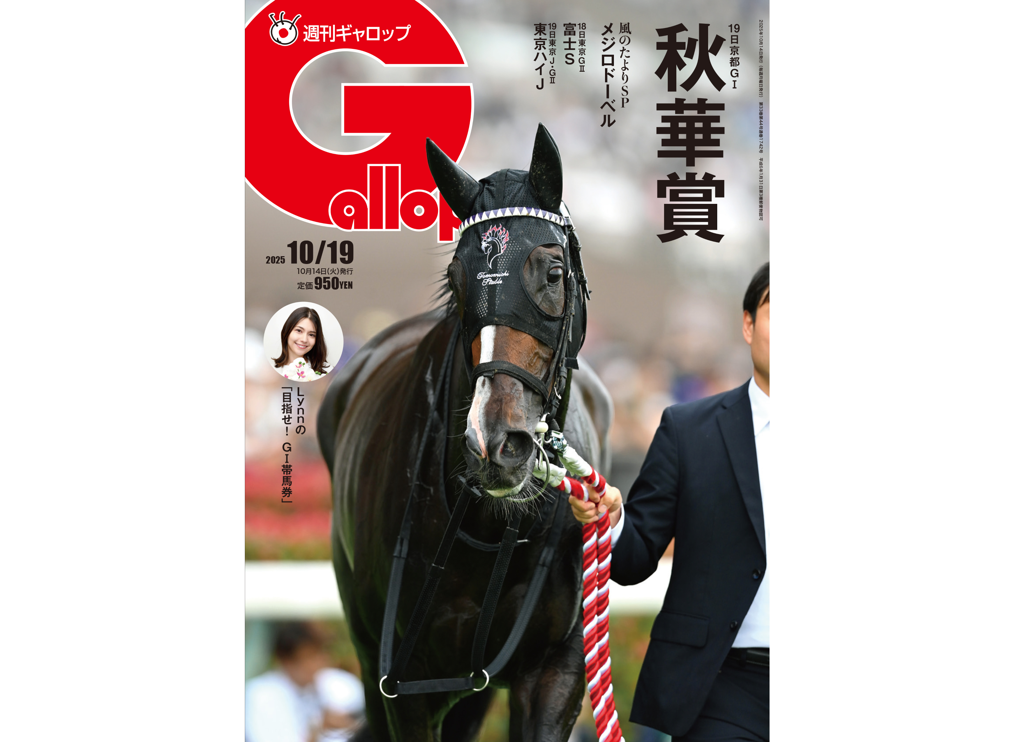 社台グループ繁殖牝馬名鑑2003〜2018（16冊） 社台グループ繁殖牝馬名鑑2003〜2018（16冊） 社台グループ繁殖牝馬