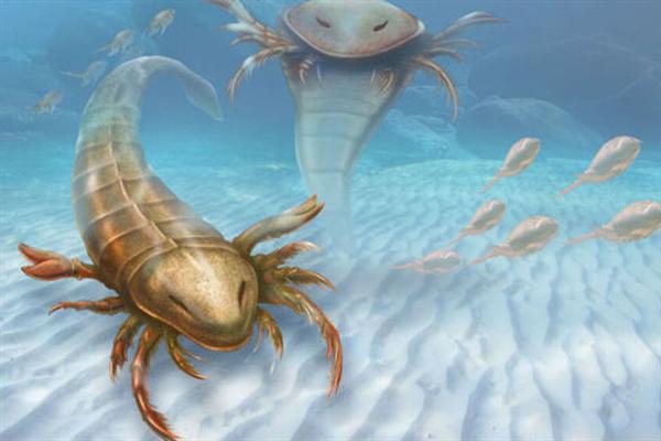 4億6000万年前、最古の「巨大ウミサソリ」 標本を発見 - 産経ニュース