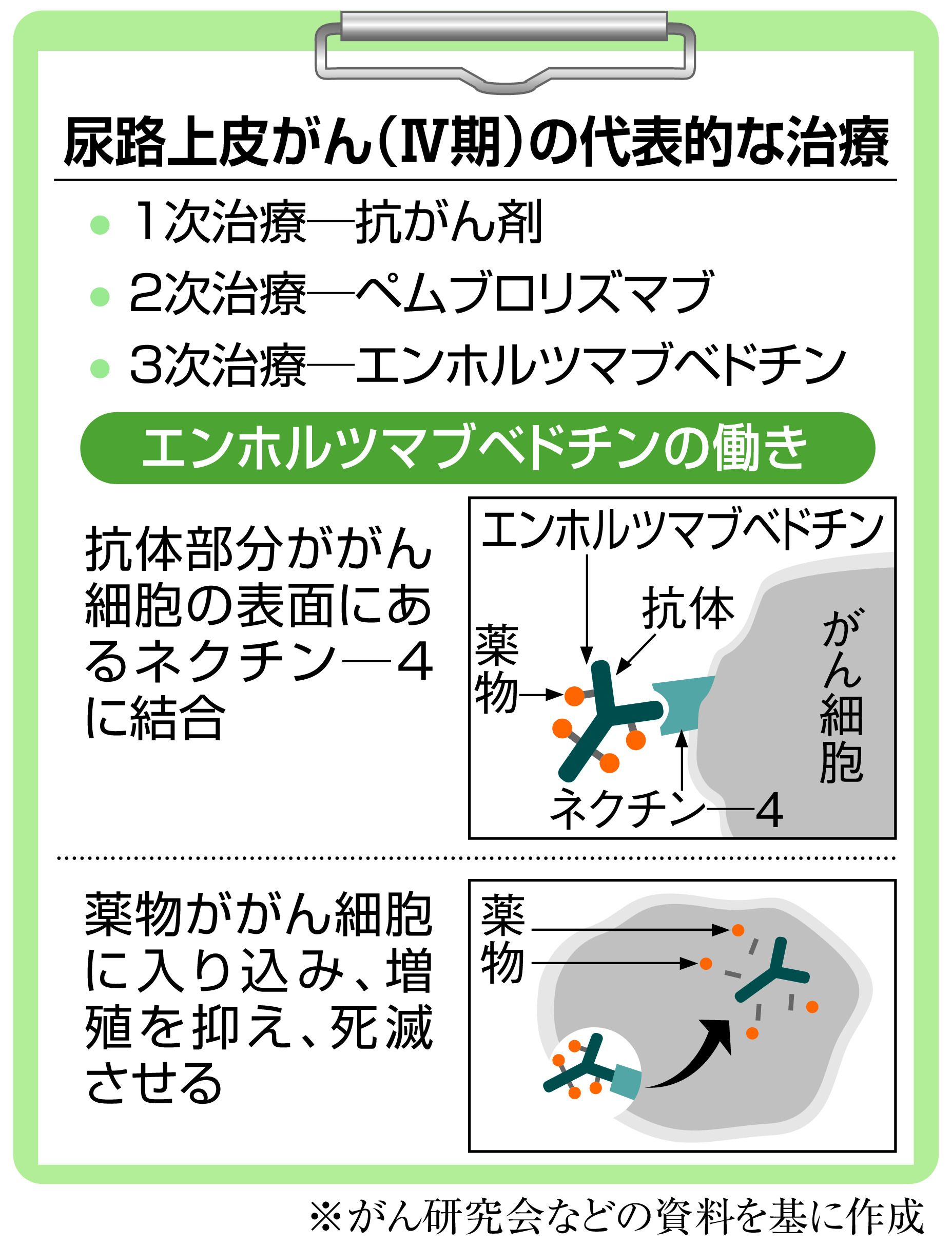 がん電話相談】尿路上皮がん、免疫チェックポイント阻害薬の「次