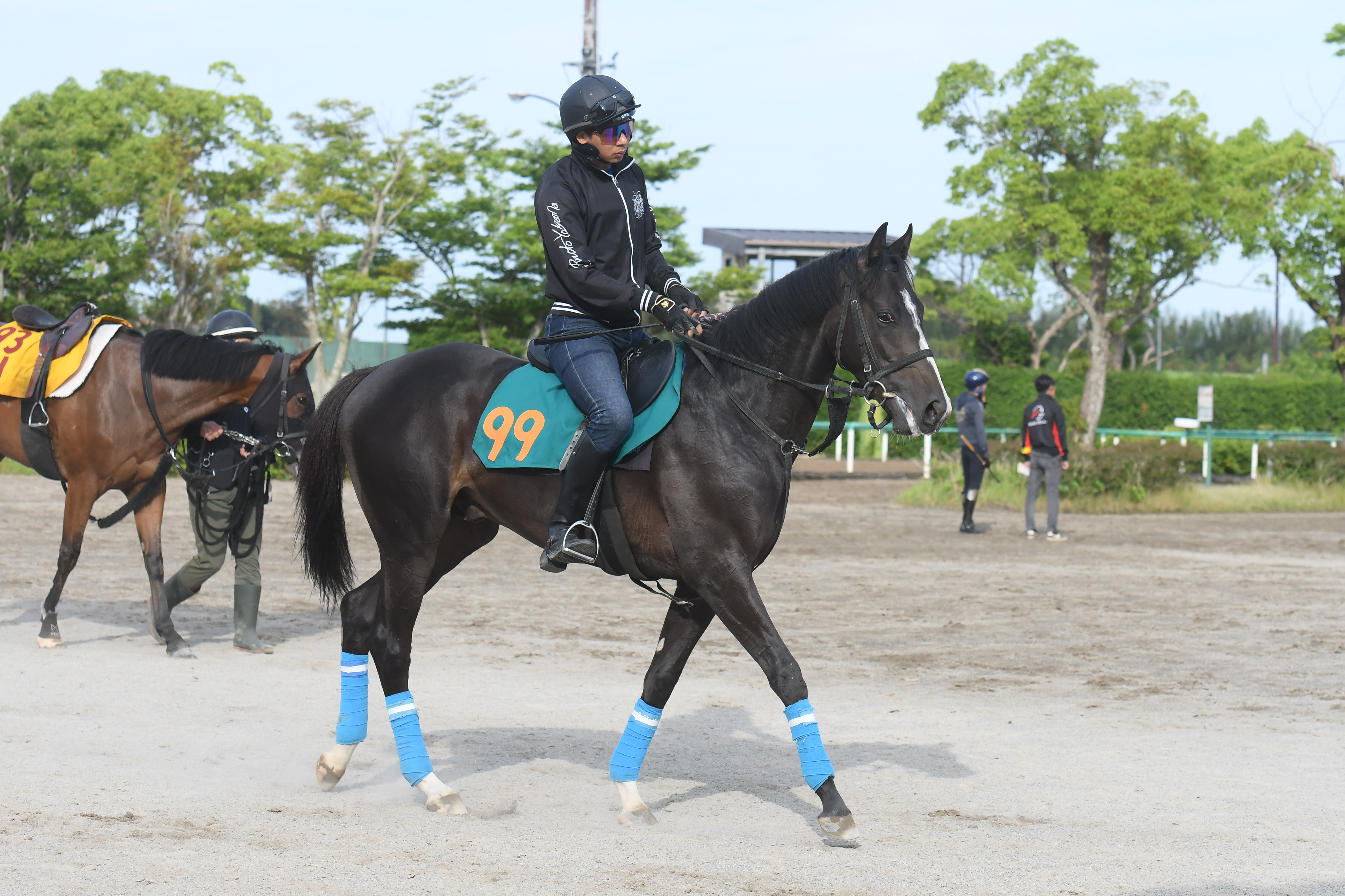 今週の注目新馬】父は障害の絶対王者！ タクミオジュウに陣営手応え