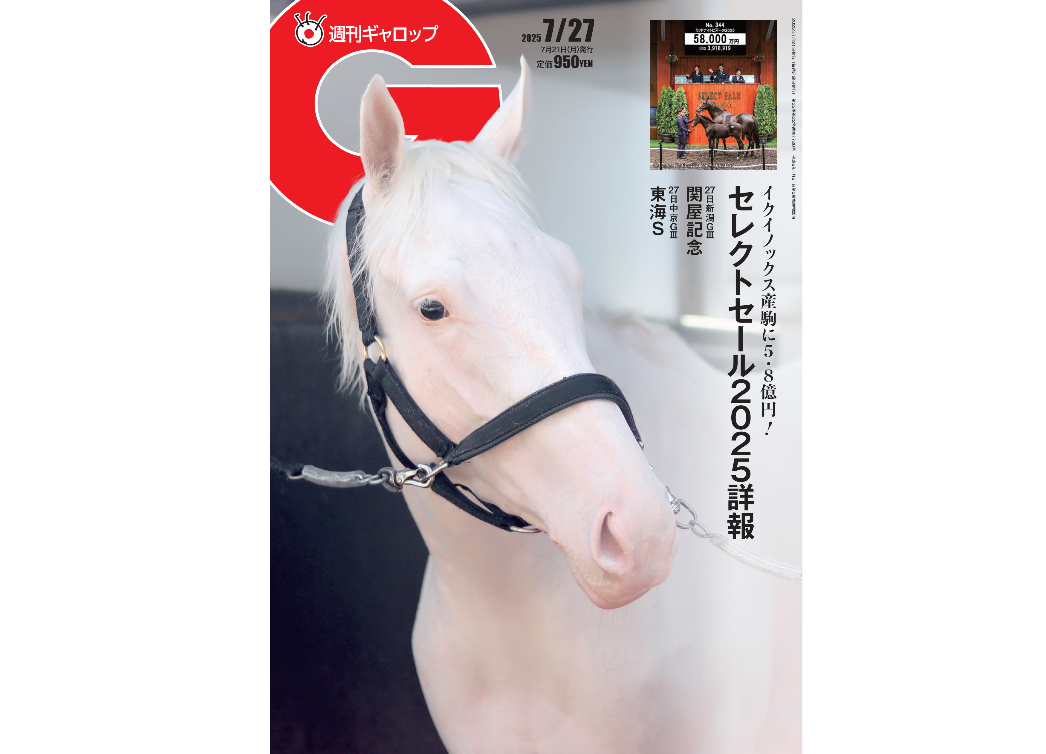 【Show】海馬セット　引退品　シクブル　まとめ売り　ホロガール Show】海馬セット 引退品 シクブル まとめ売り ホロガール 2025