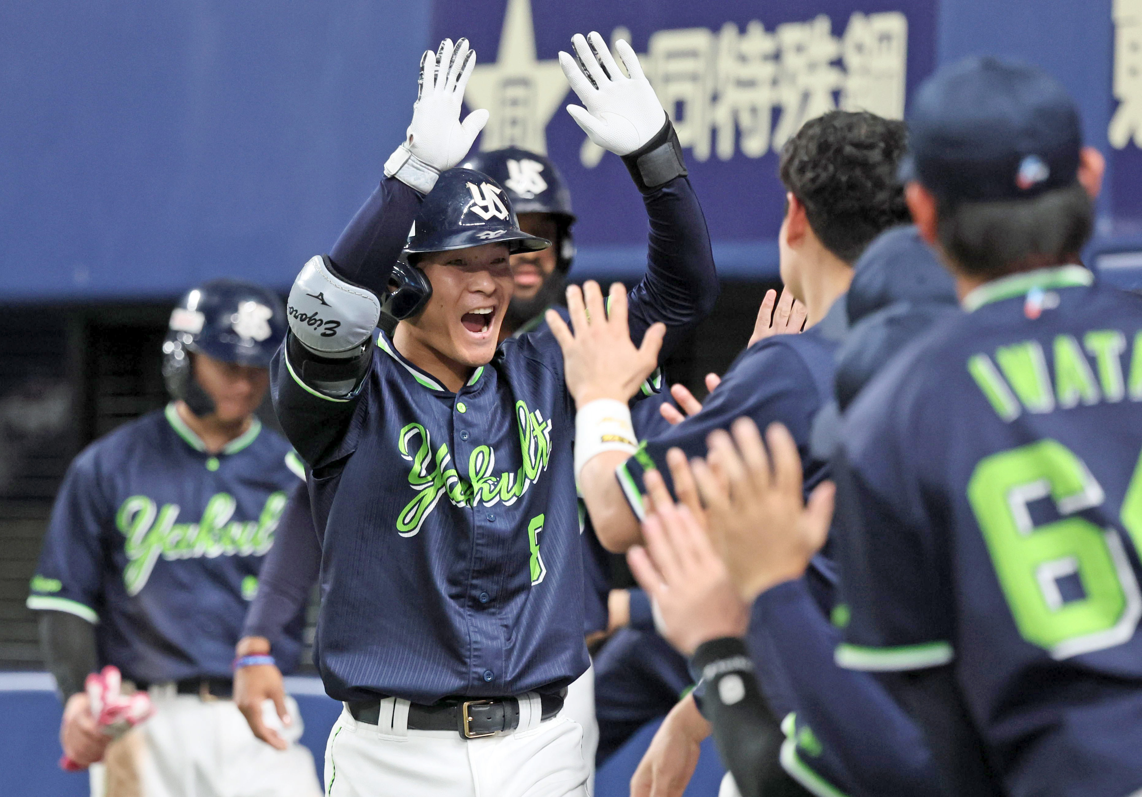 現 ヤクルト 旧楽天時 茂木栄五郎 選手 実使用 バット 支給品
