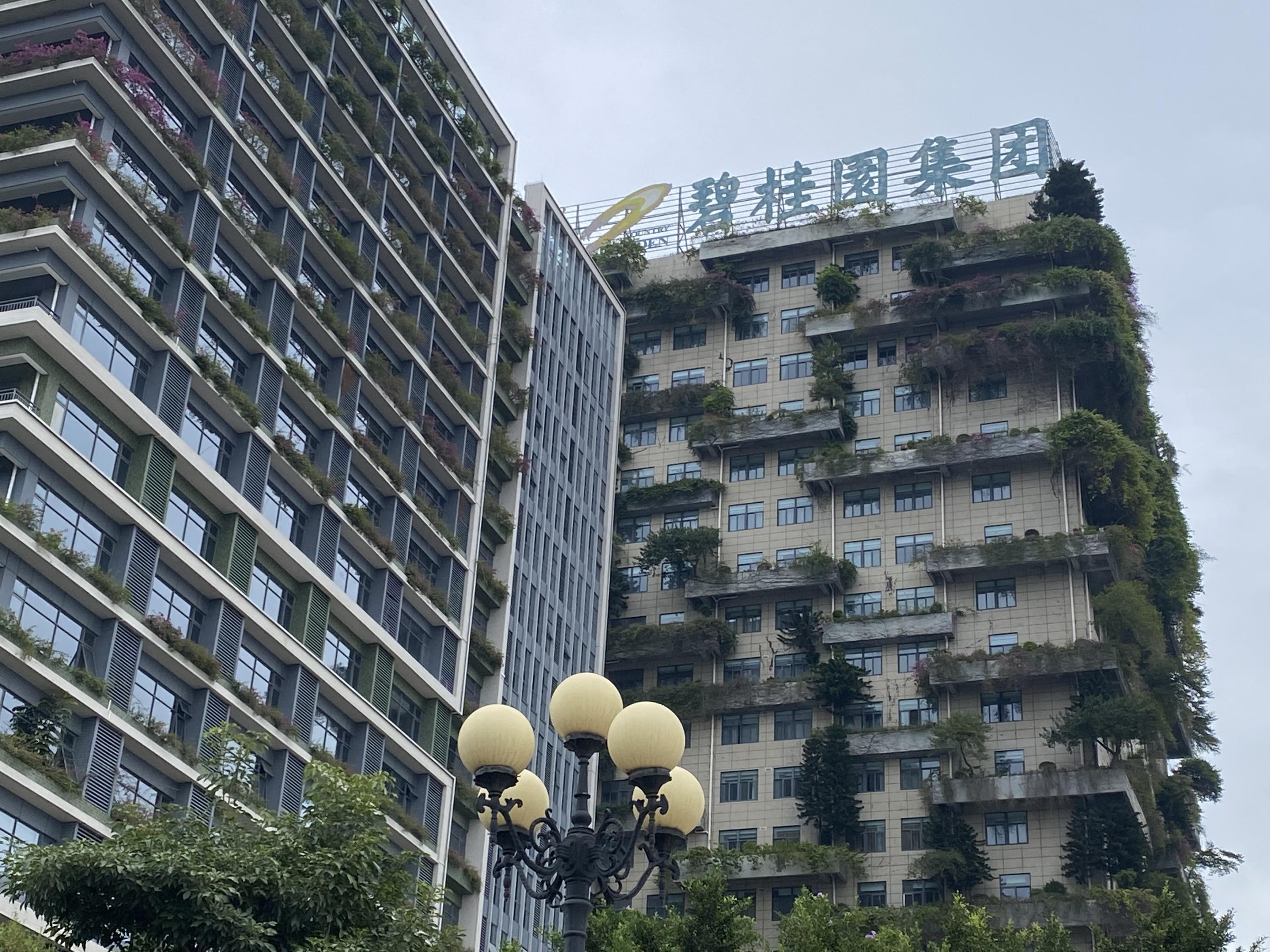 【中古】 都市と娯楽 開港期～１９３０年代/日本経済評論社/奥須磨子 都市と娯楽 開港期 1930年代 首都圏史叢書5 奥須磨子 羽田